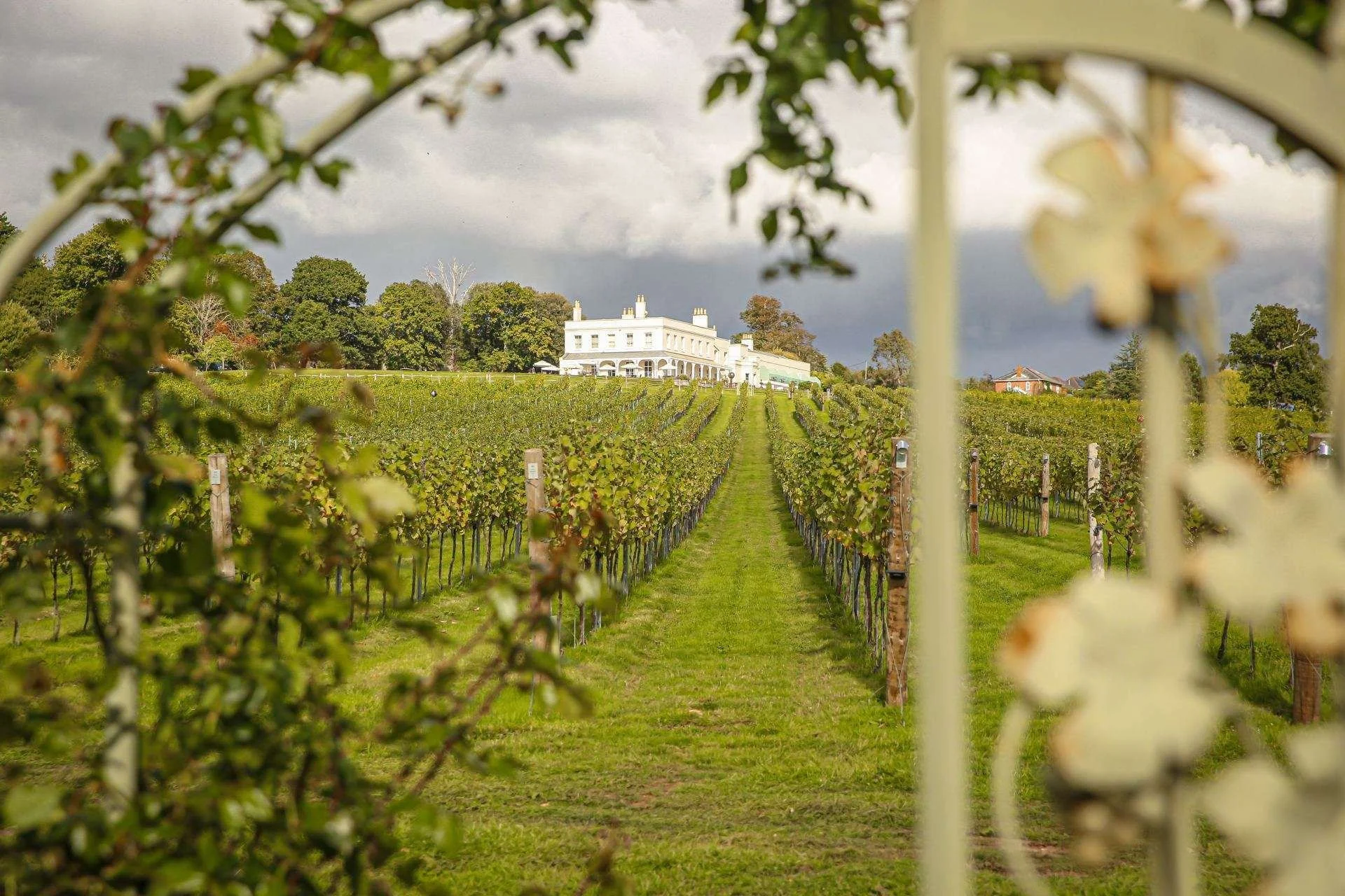 WhatsApp Image 2026-02-10 at 23.14.12(2).jpeg