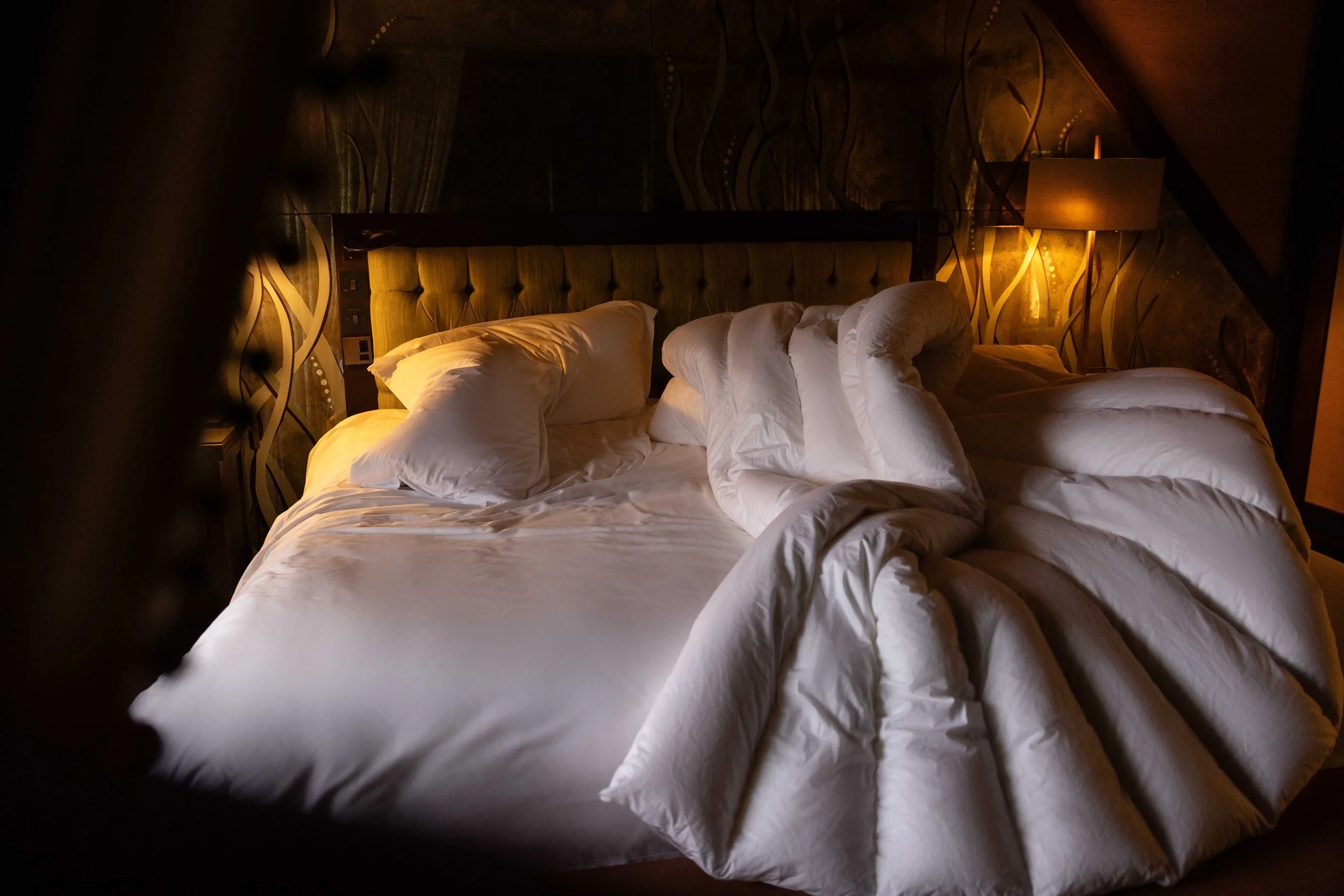 Norvegr-Le Manoir Quatre Saisons10.jpg