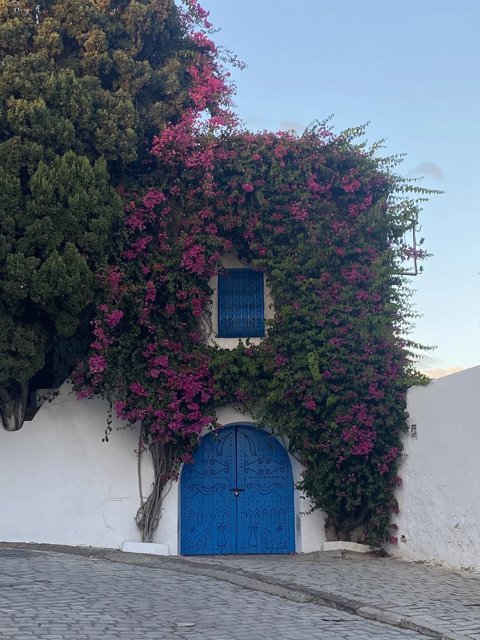 IMG_9708.JPEG