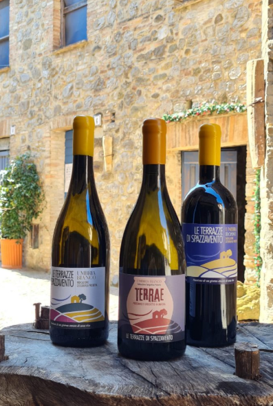 For the love of the process: The soul of an Umbrian winery