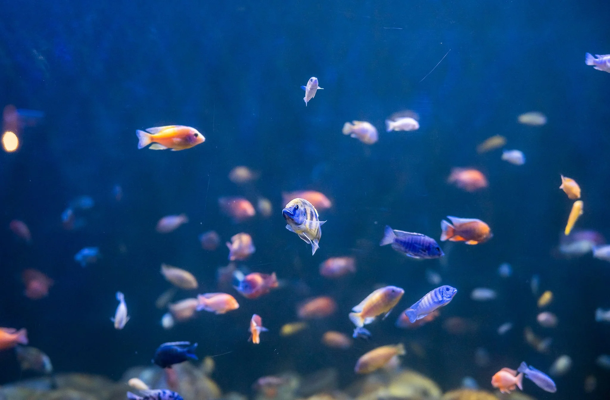 AquaRio-61.jpg.jpeg