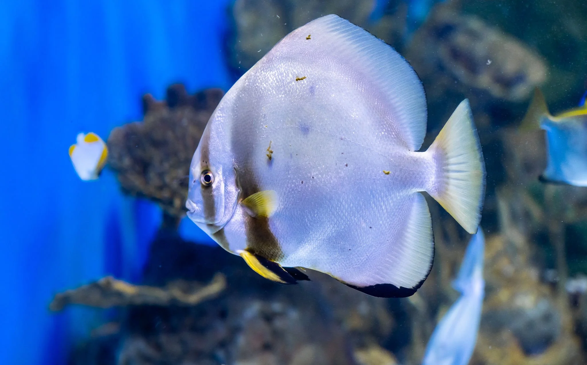 AquaRio-57.jpg.jpeg