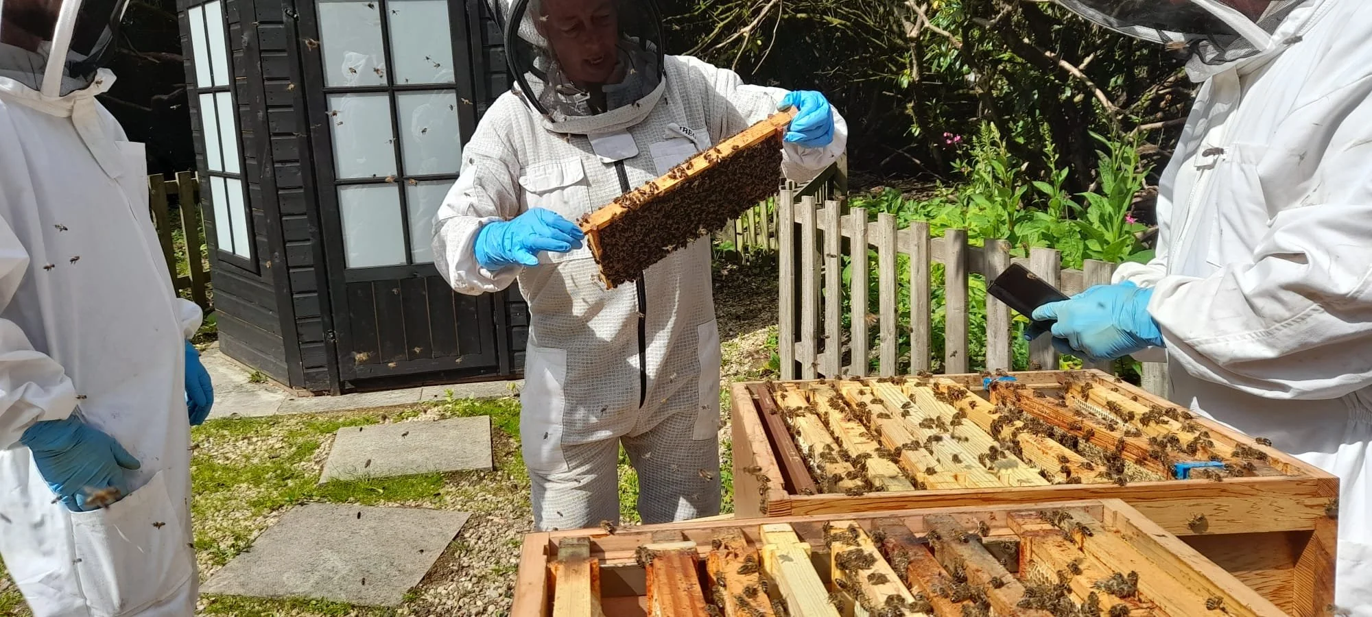 Beekeeping 1.jpeg