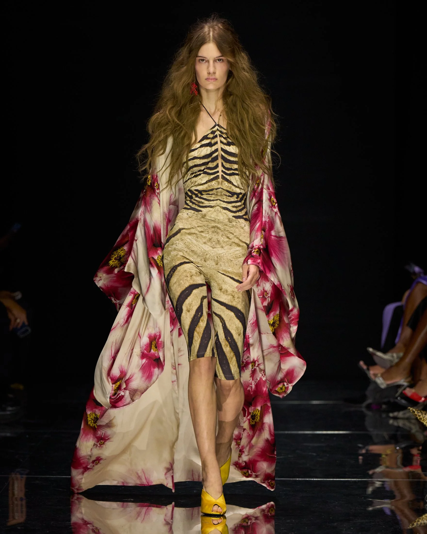 Cavalli_S27_002_4X5.jpg