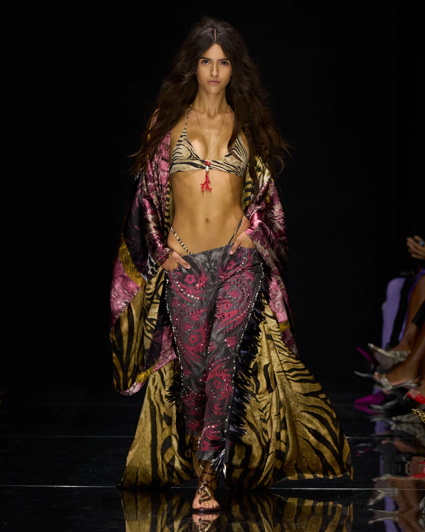 Cavalli_S27_009_4X5.jpg
