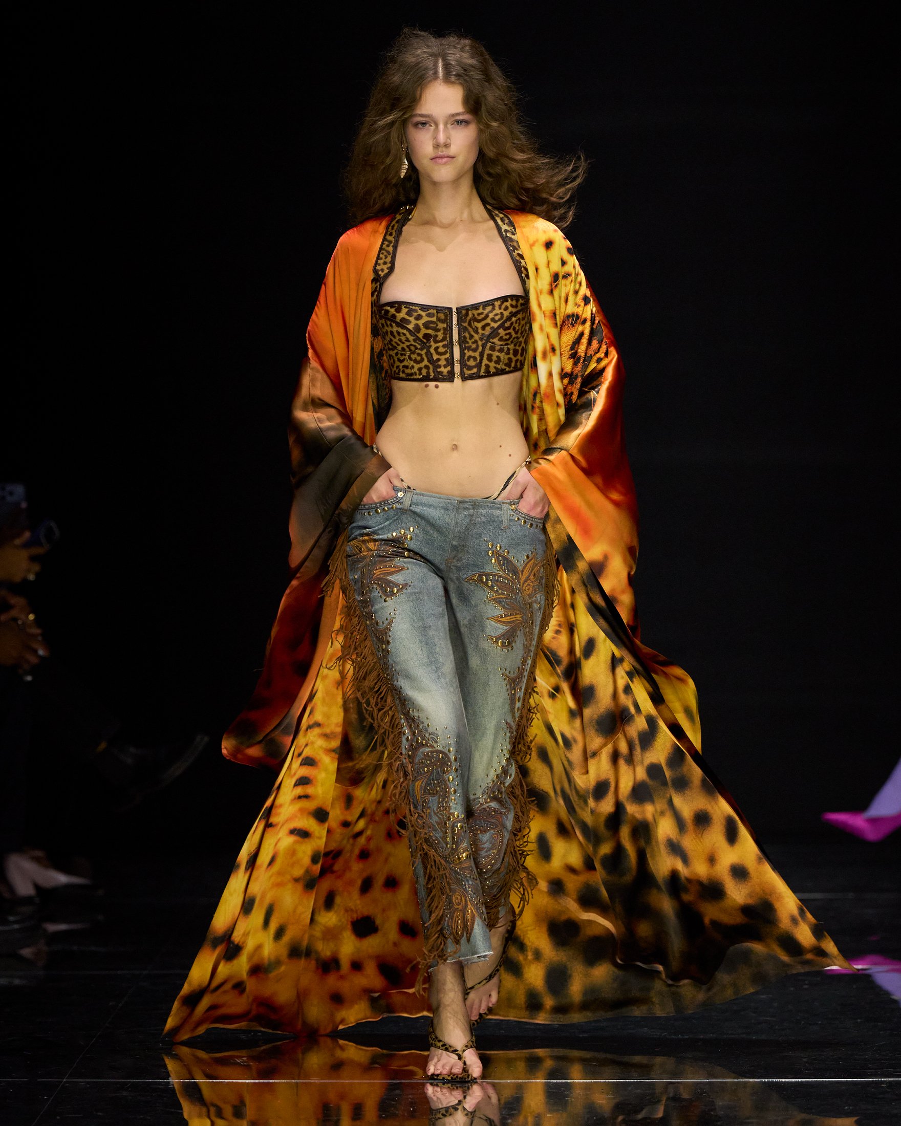 Cavalli_S27_044_4X5.jpg