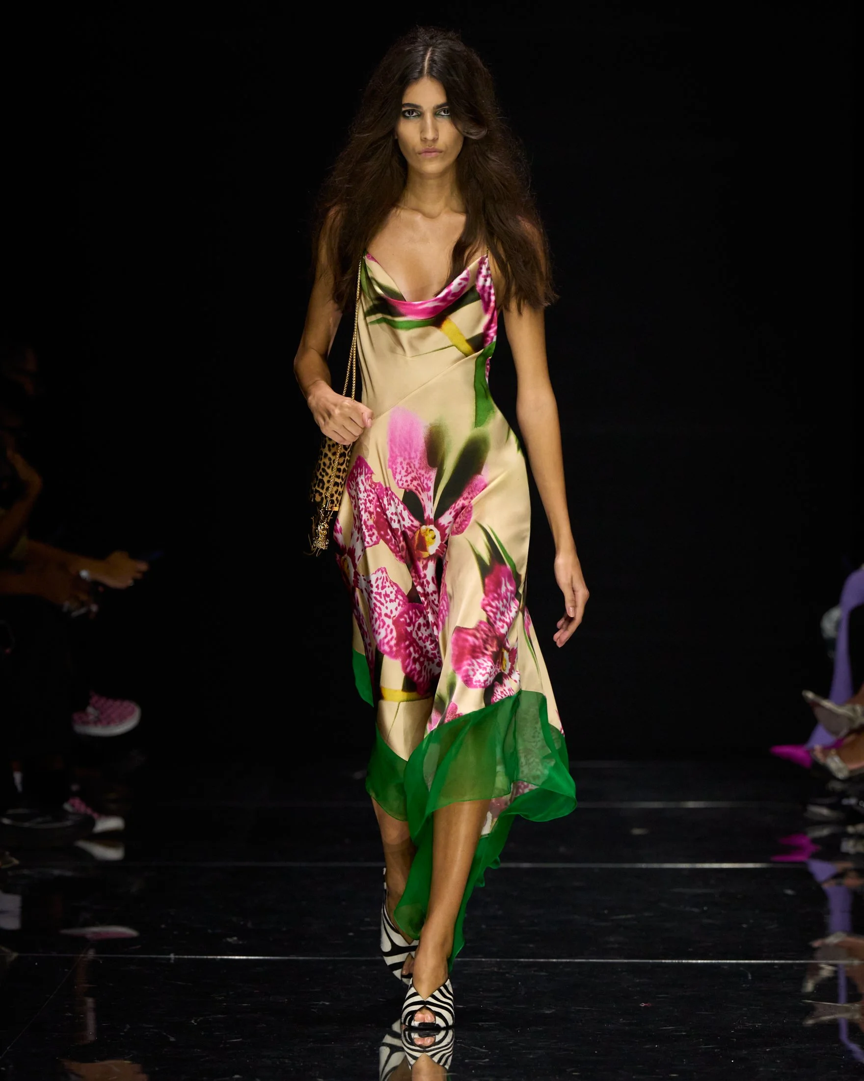 Cavalli_S27_029_4X5.jpg