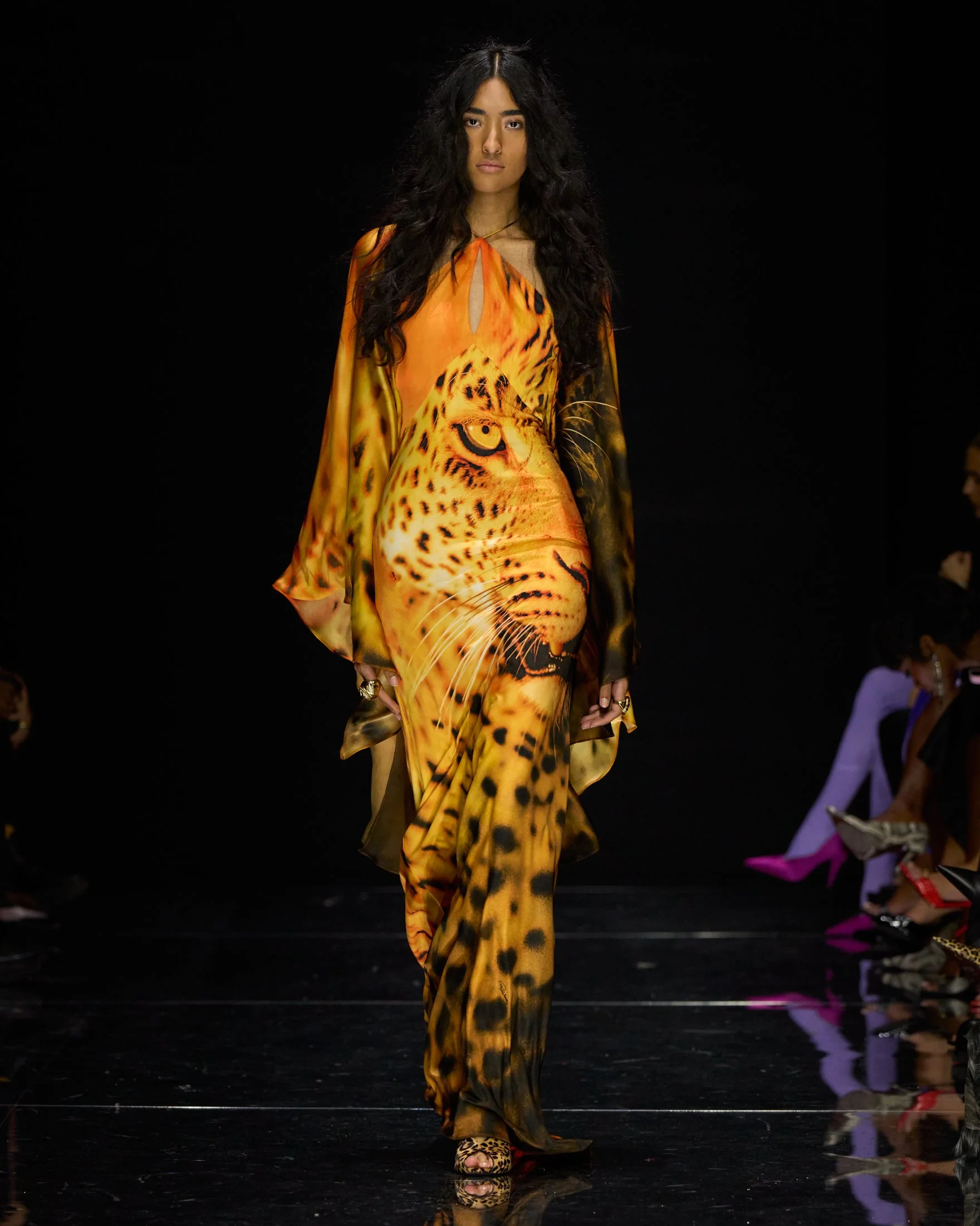Cavalli_S27_042_4X5.jpg