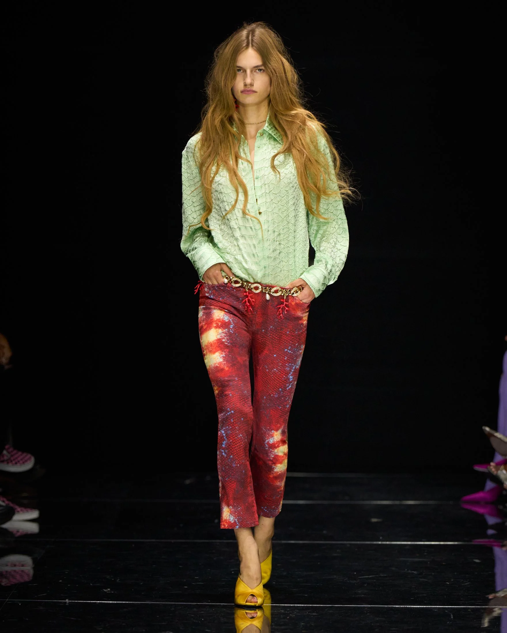 Cavalli_S27_035_4X5.jpg