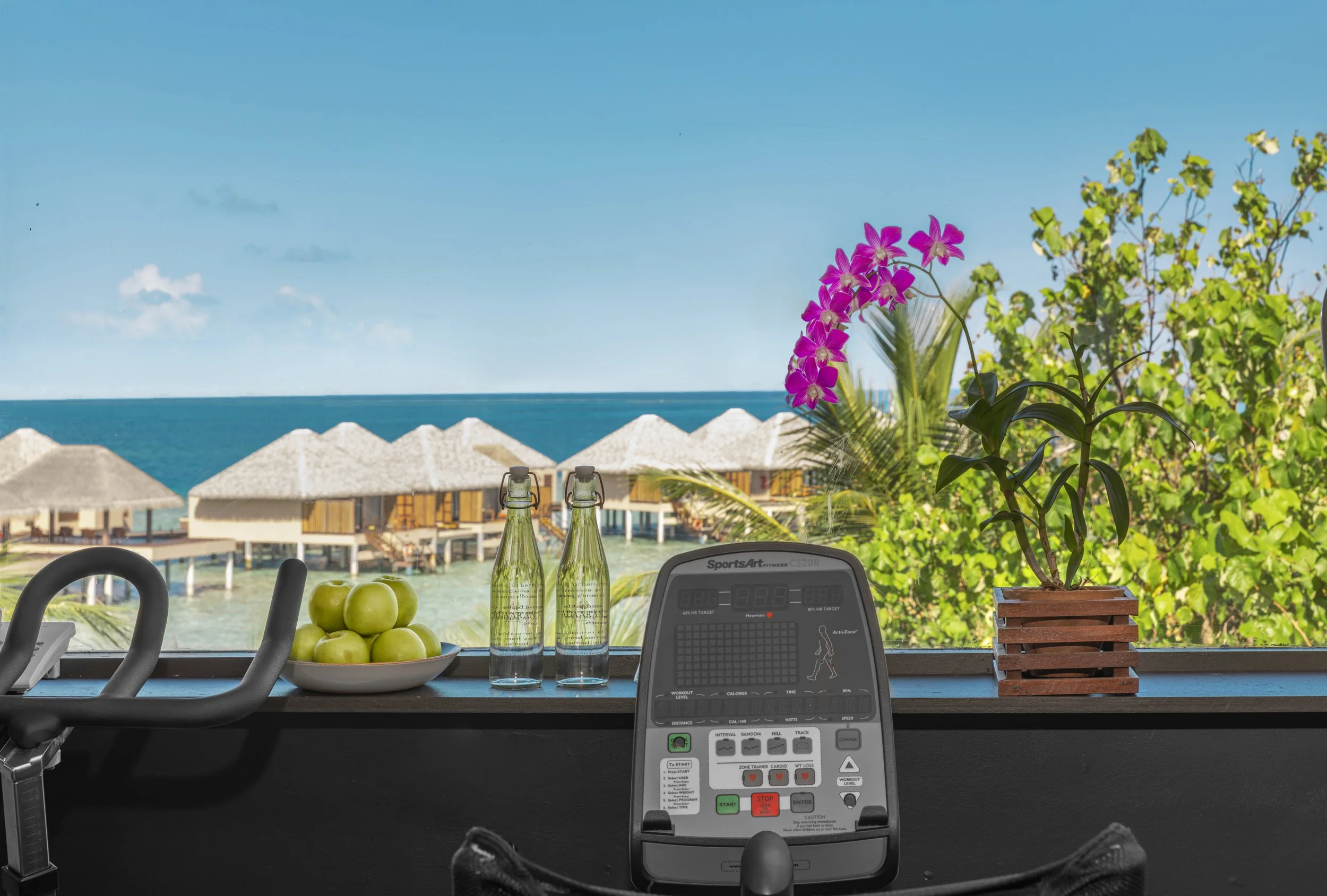 GYM-2.jpg