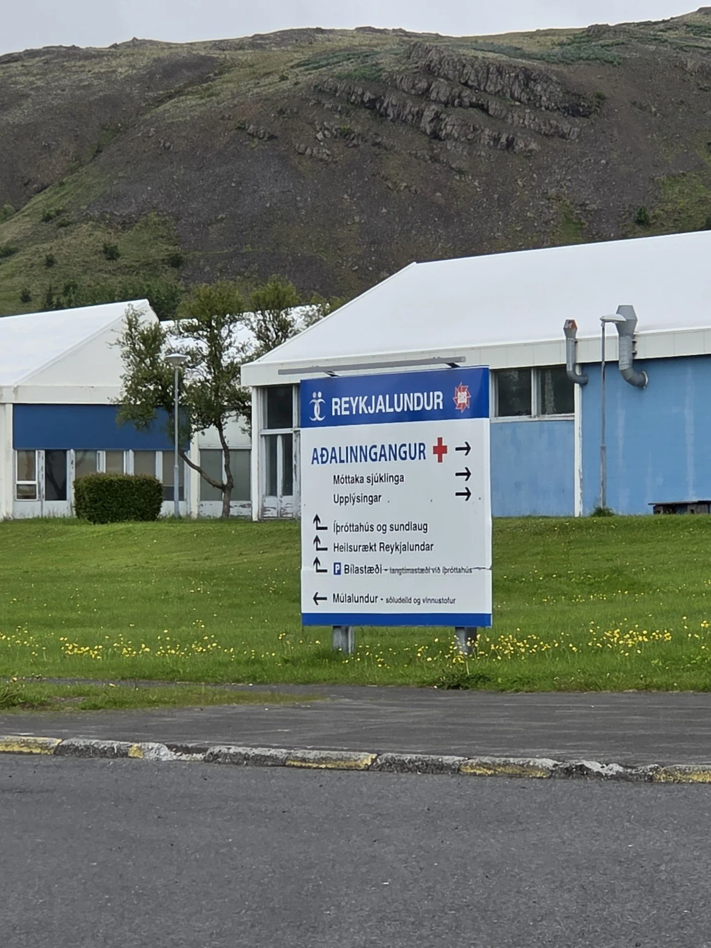 Jafningjafræðsla á Reykjalundi