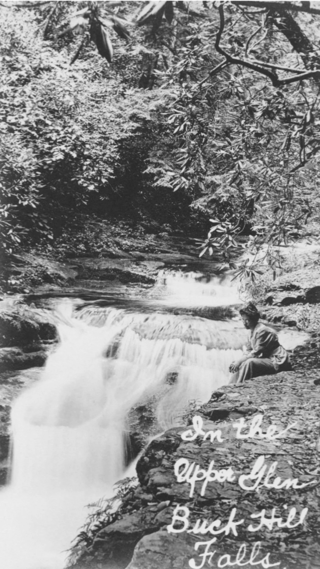 About 1 — The Buck Hill Conservation Foundation