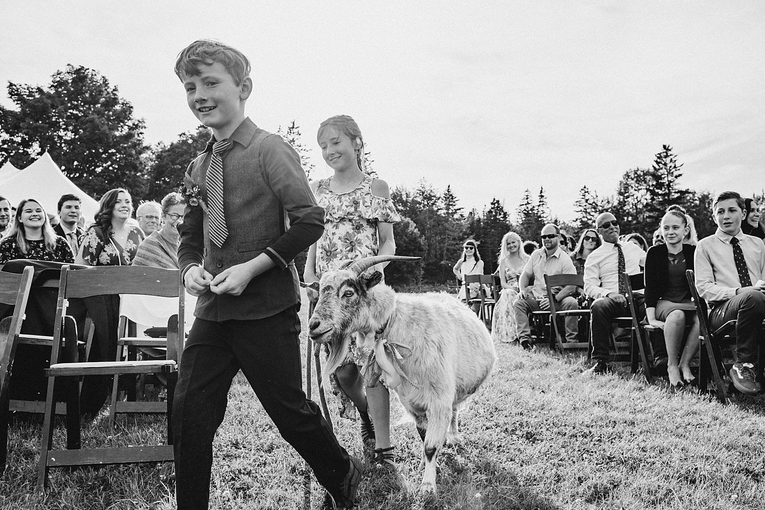 Acadia-Wedding-Photography45.jpg