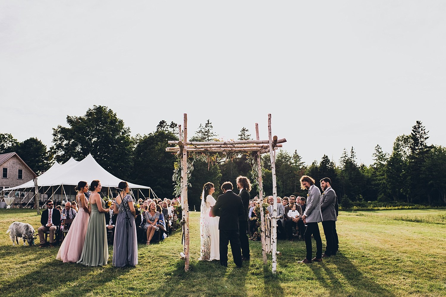 Acadia-Wedding-Photography47.jpg