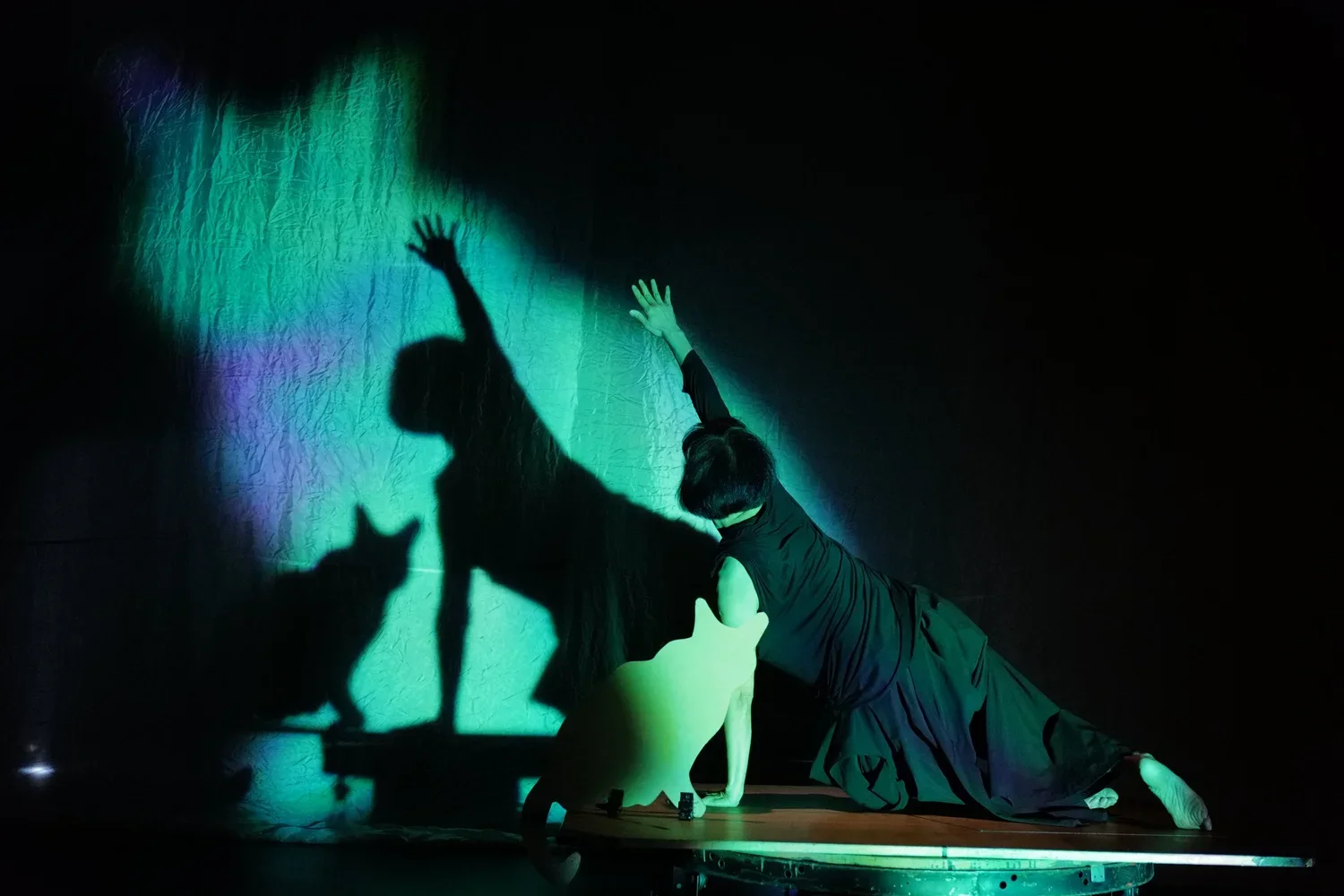 𝐃𝐢𝐚𝐫𝐲 𝐕𝐈𝐈: 𝐓𝐡𝐞 𝐒𝐭𝐨𝐫𝐲 𝐨𝐟……