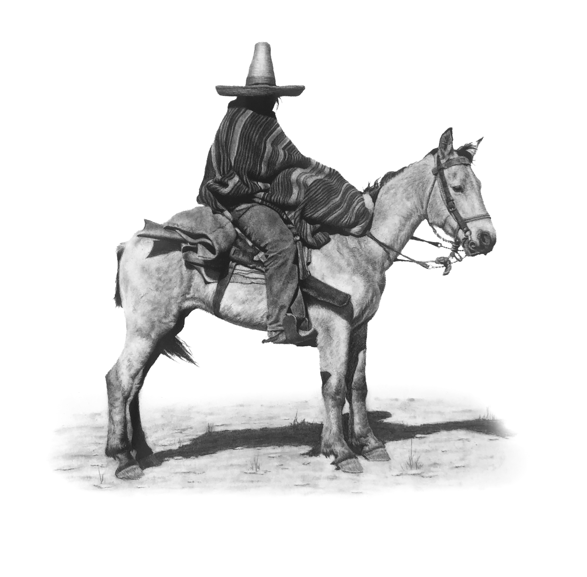 "Vaquero" -
Charcoal
20x20