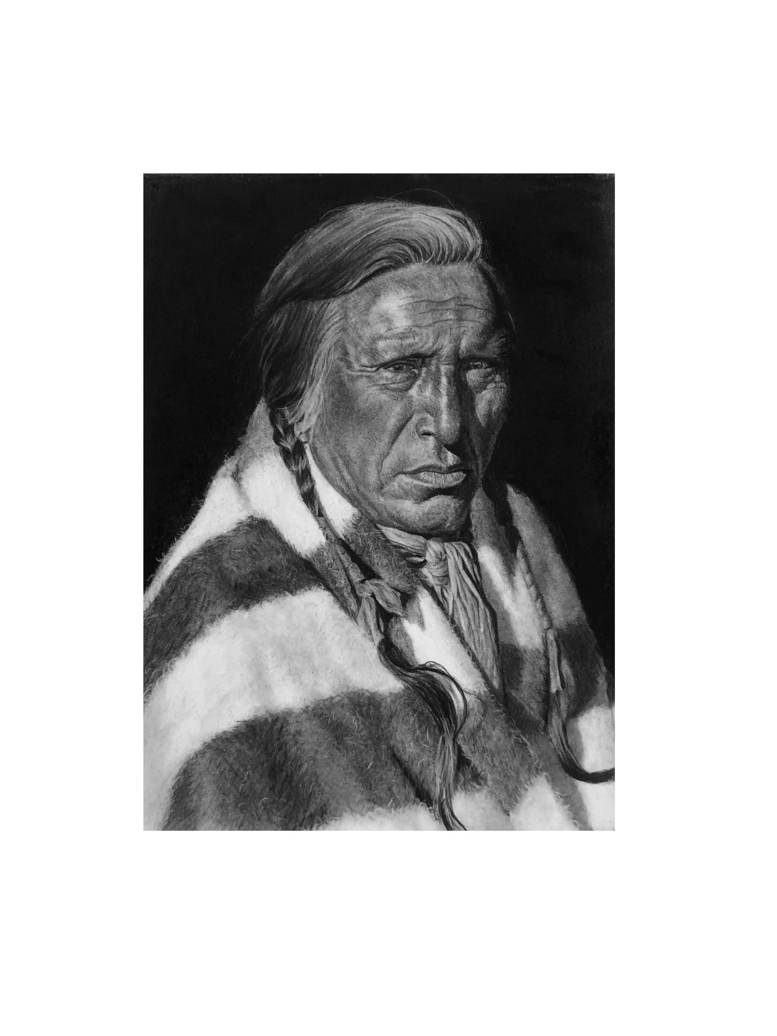 "Spring Chief" - Charcoal 11x14