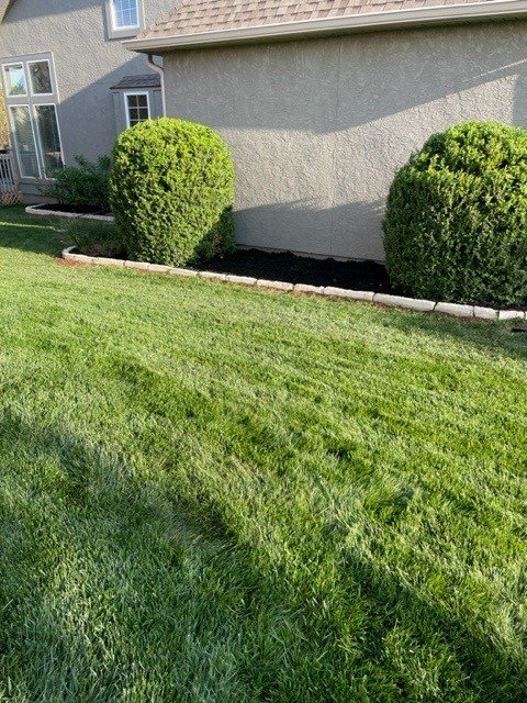 3 1/2" x 8" Tumbled Cottonwood blocks (used as edging) and Mystic Black Mulch