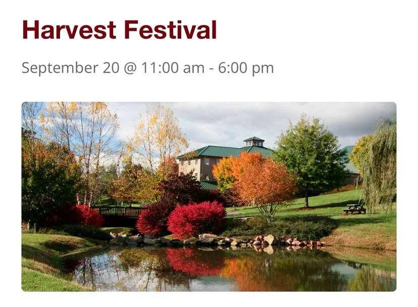 Harvest Festival at Shelton Vineyards