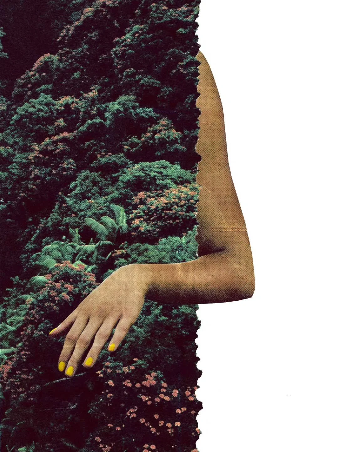 &ldquo;Out beyond ideas of wrongdoing and rightdoing, there is a field. I&rsquo;ll meet you there.&rdquo; &mdash; Rumi