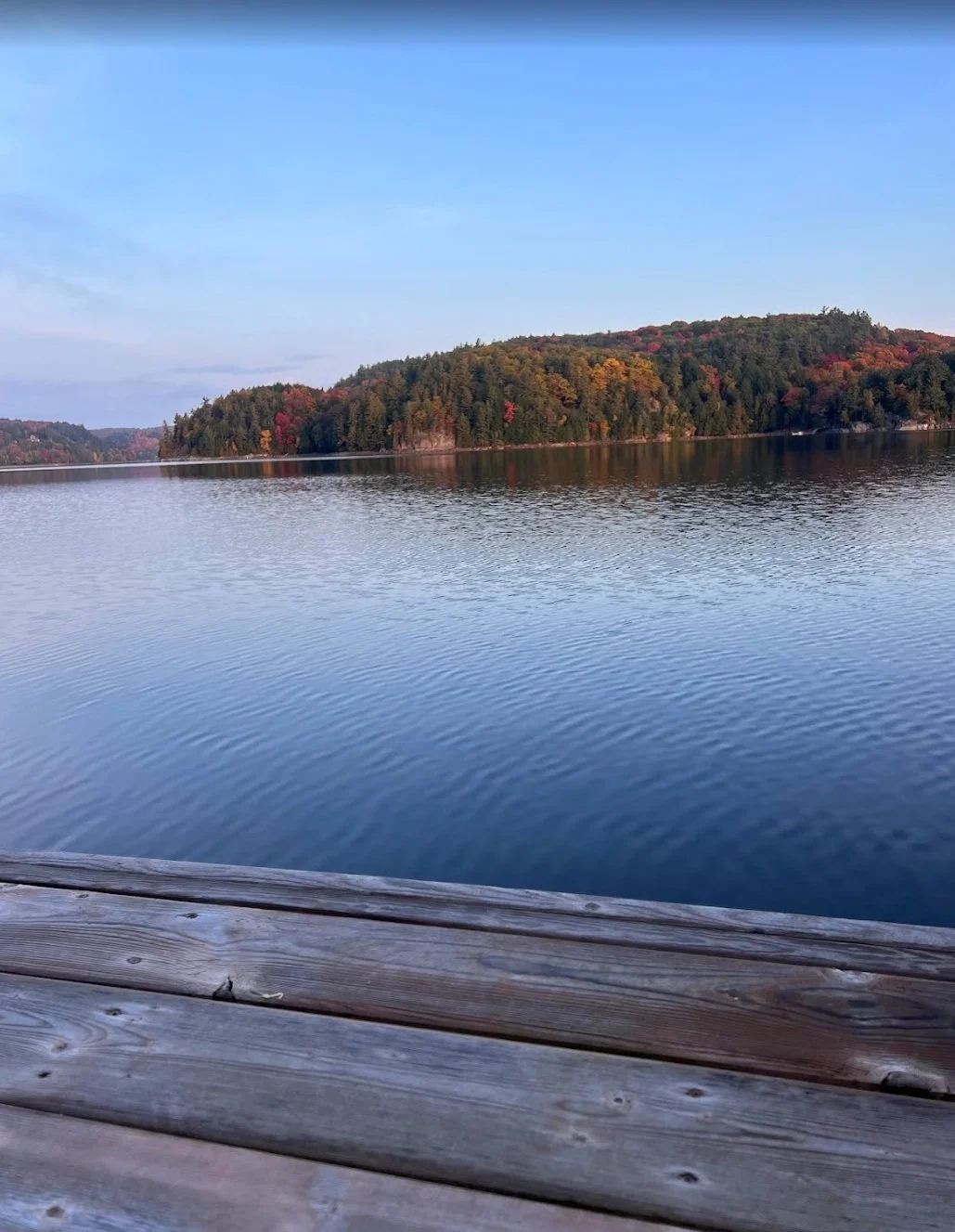 2025 Annual Meeting - August 9, 2025