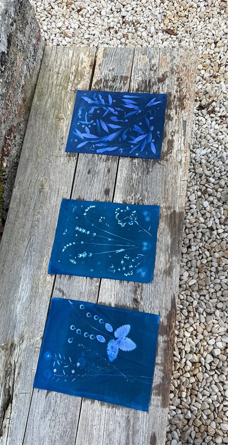 Toscana2026-Ebbio_cyanotype3.jpg