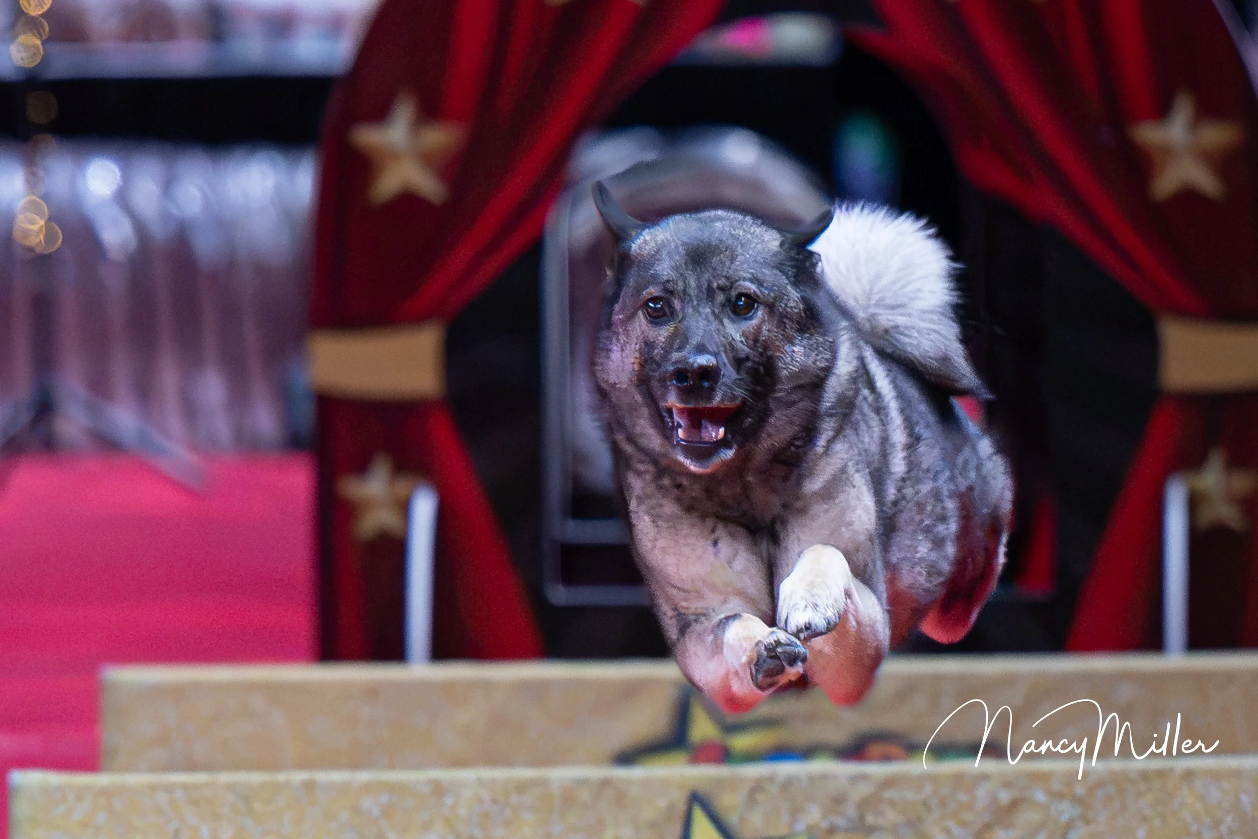 DSC_7775-2.jpg