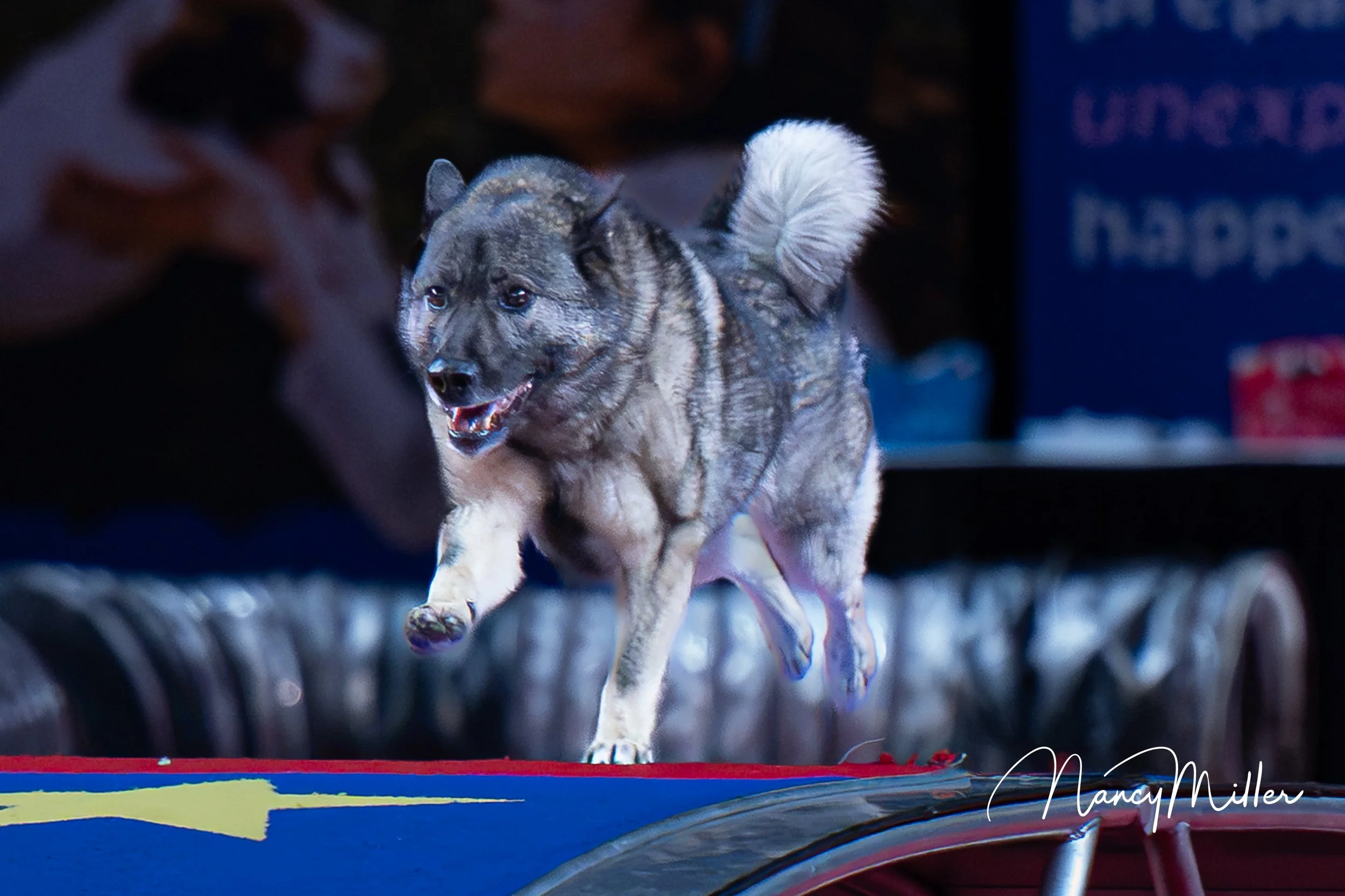 DSC_7740-2.jpg