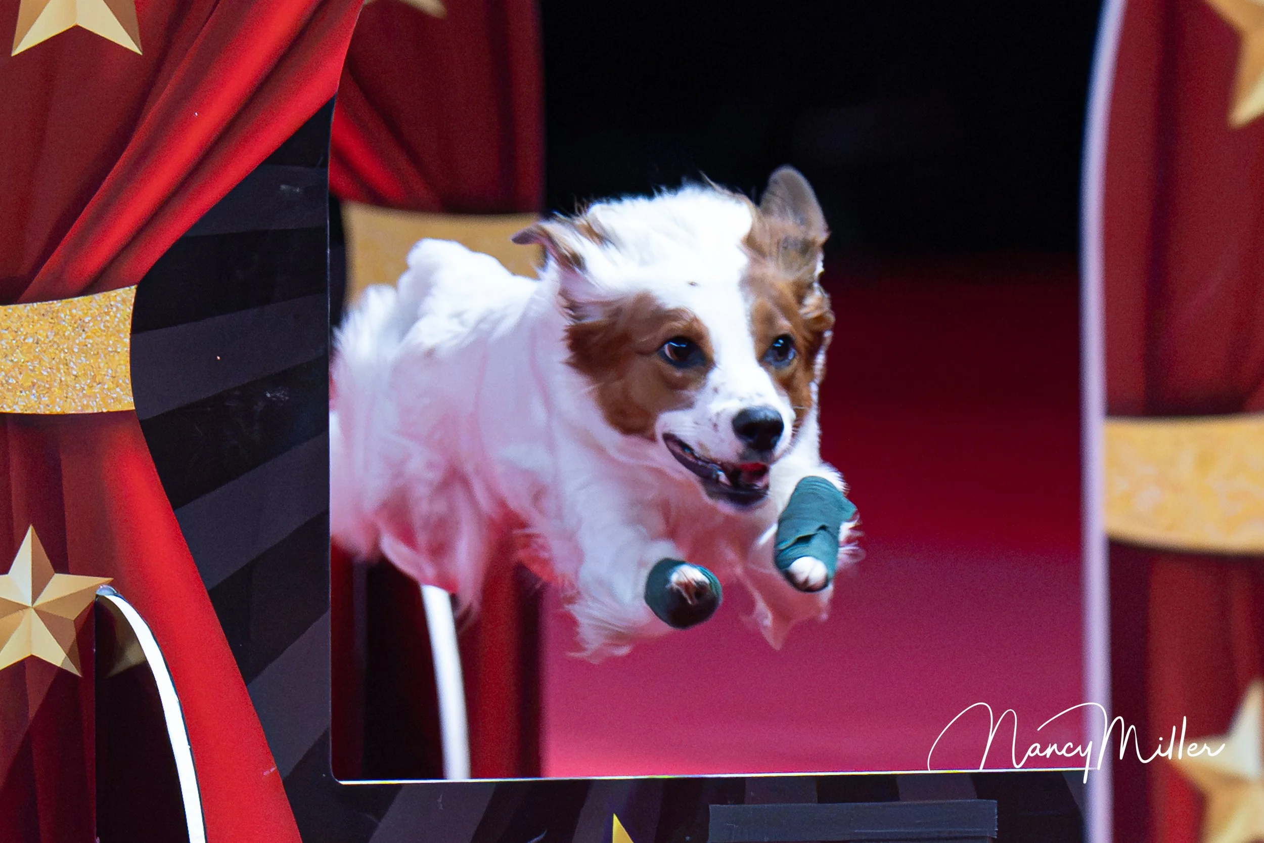 DSC_8569-2.jpg