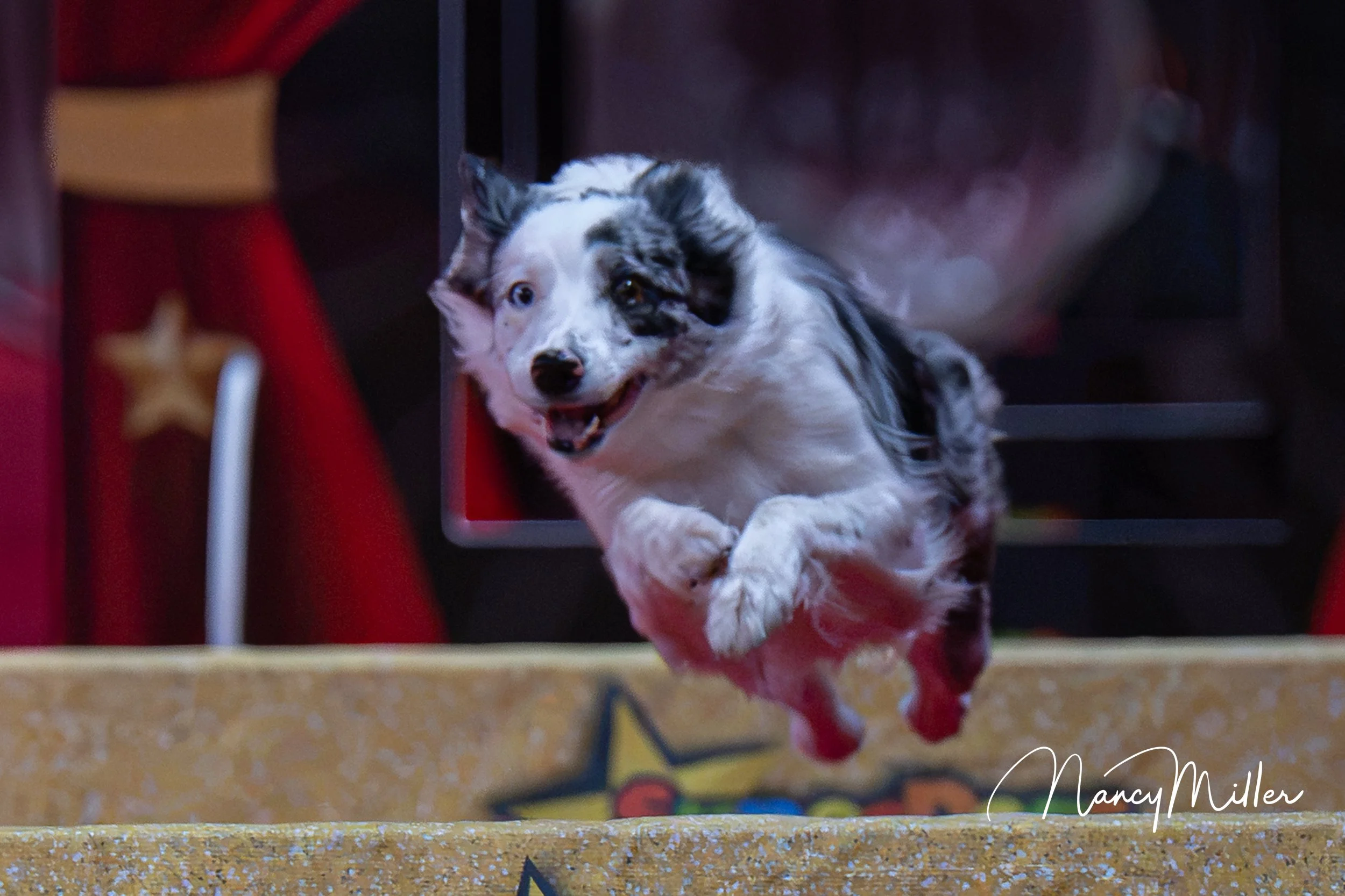 DSC_8065-2.jpg