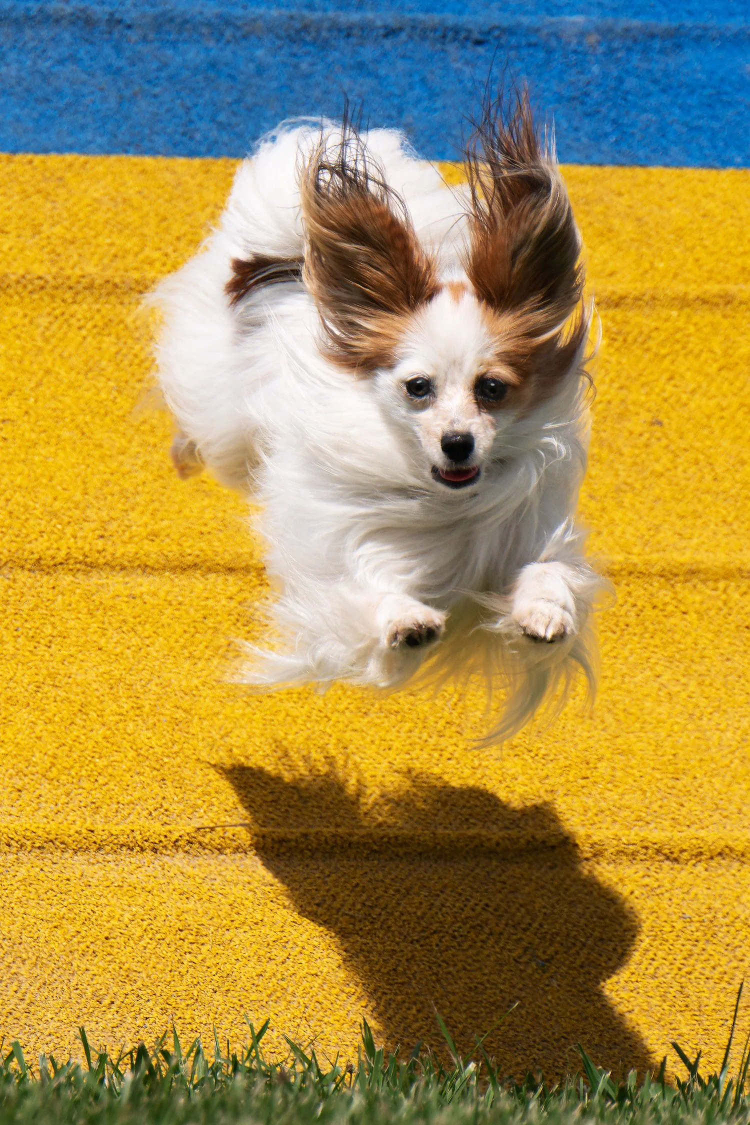 NANCY_MILLER_PHOTOGRAPHY_1500PX-3.jpg