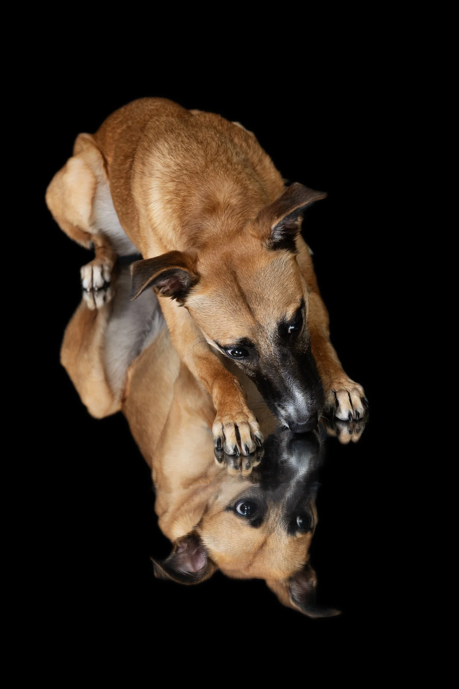 NANCY_MILLER_PHOTOGRAPHY_1500PX-3.jpg
