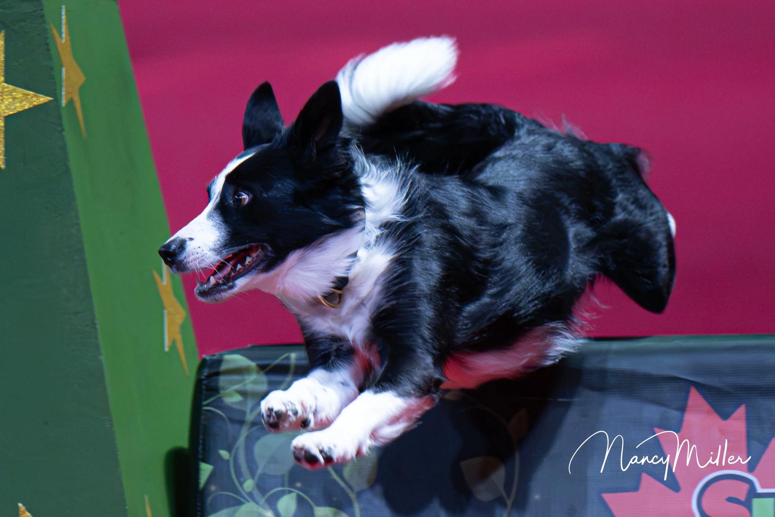 DSC_7898-2.jpg