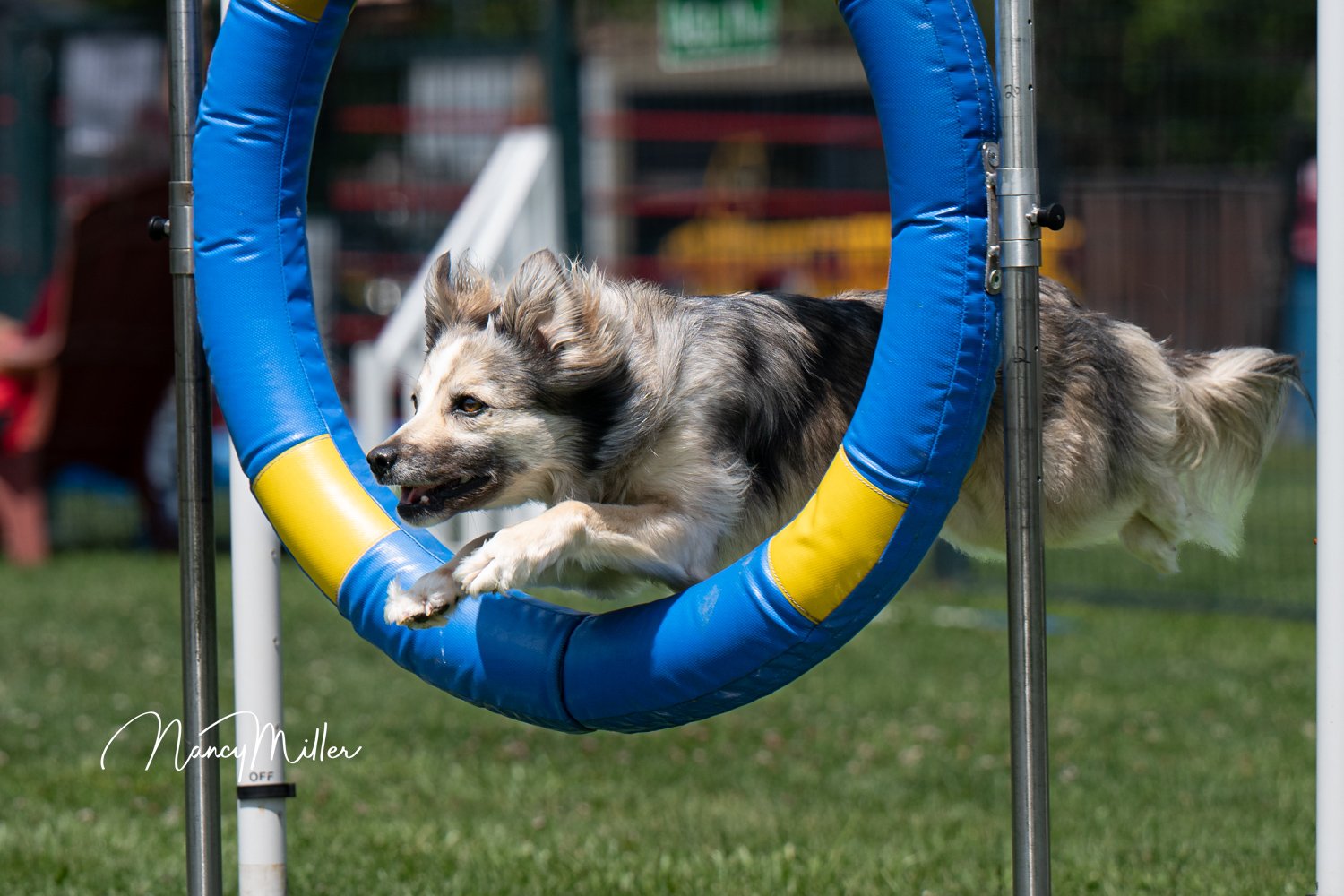 NANCY_MILLER_PHOTOGRAPHY_WEBSITE_EVENTS_1500px_DSC_9465.jpg
