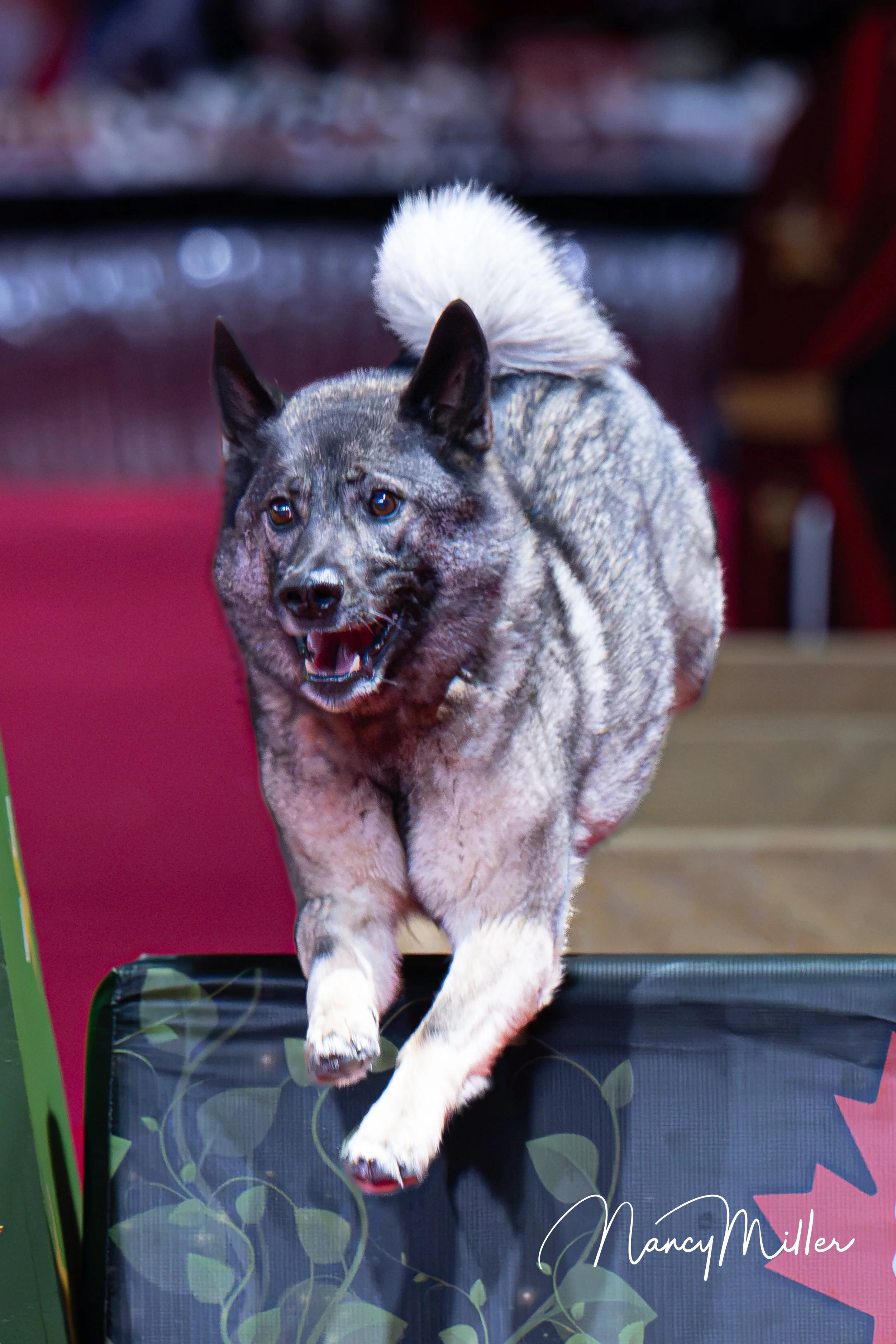 DSC_7783-2.jpg