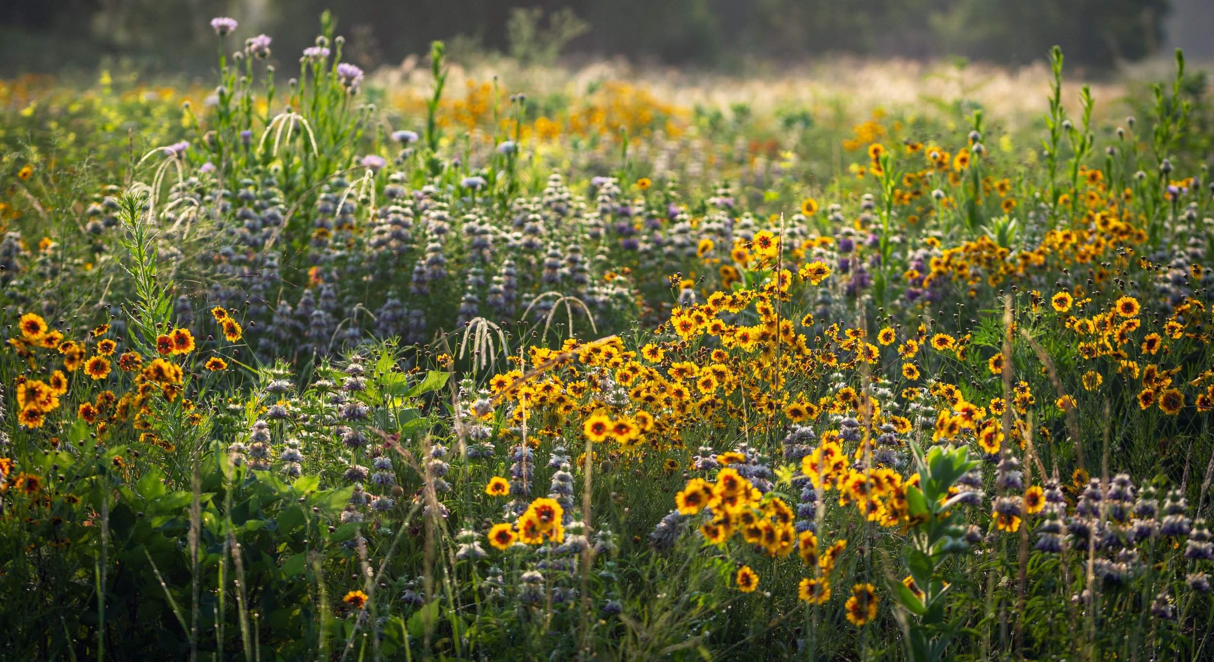 Pricing — Dry Creek Farm
