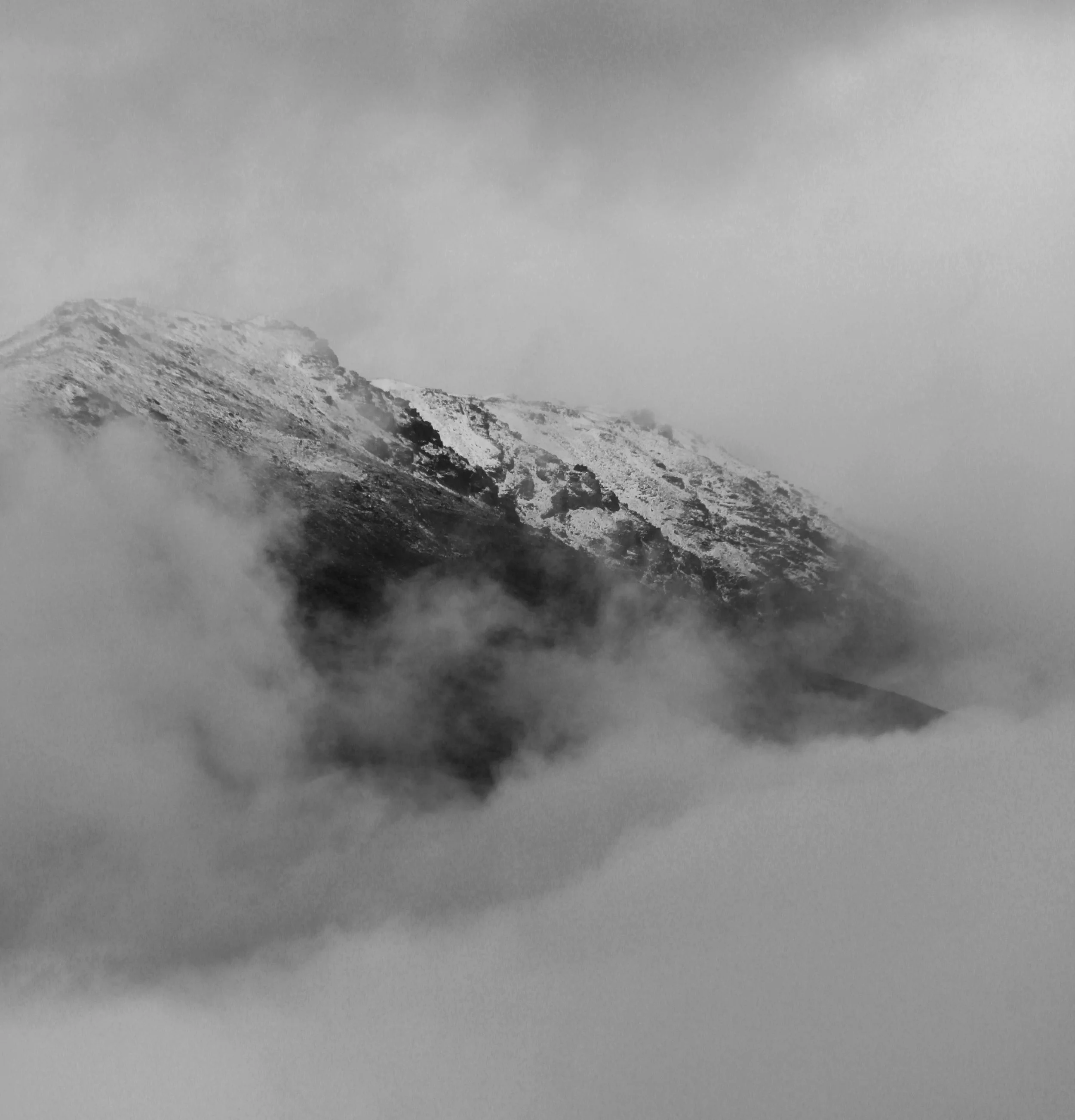 IMG_0608 copy.jpg