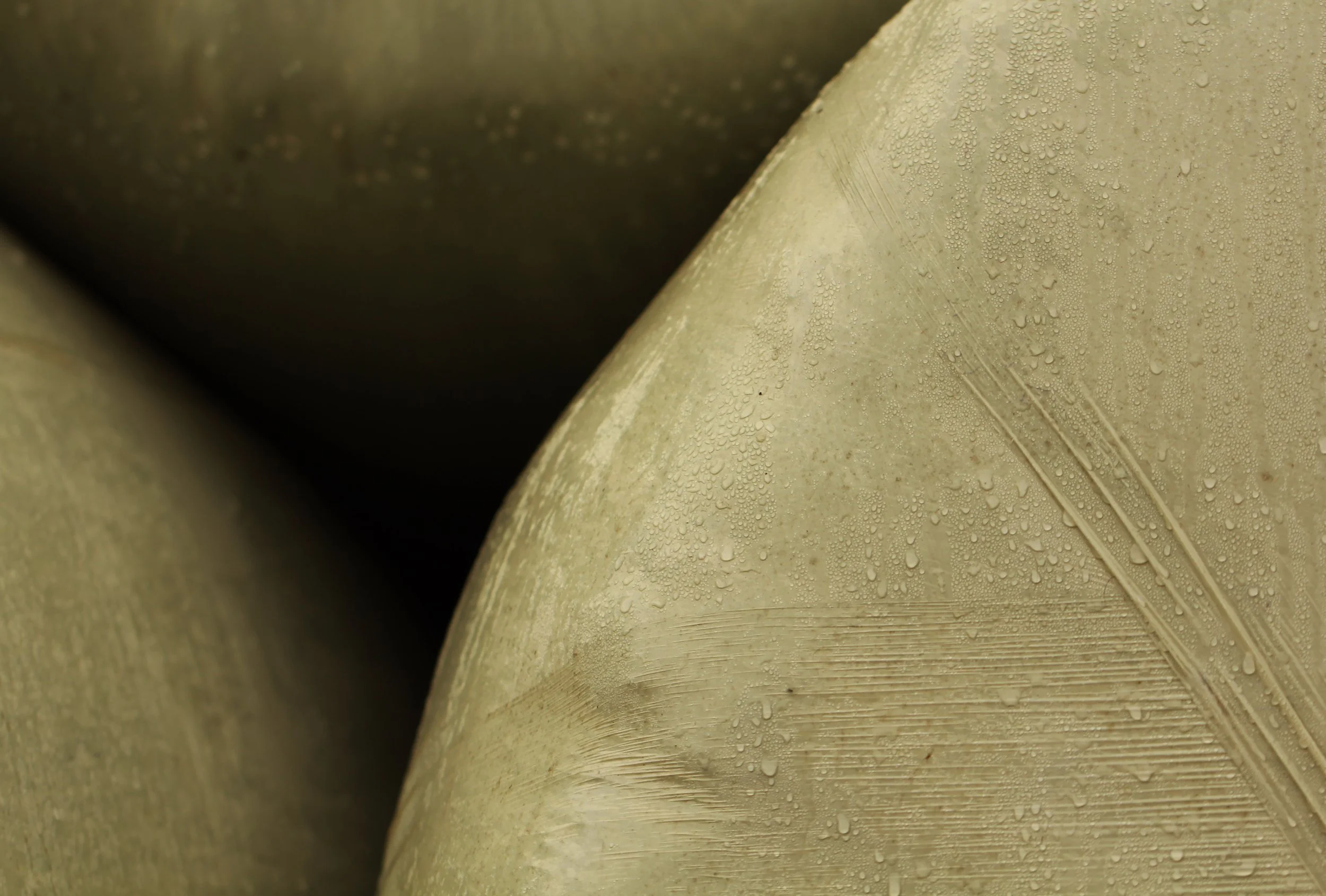 hay-bale-close-up_52715212575_o.jpg