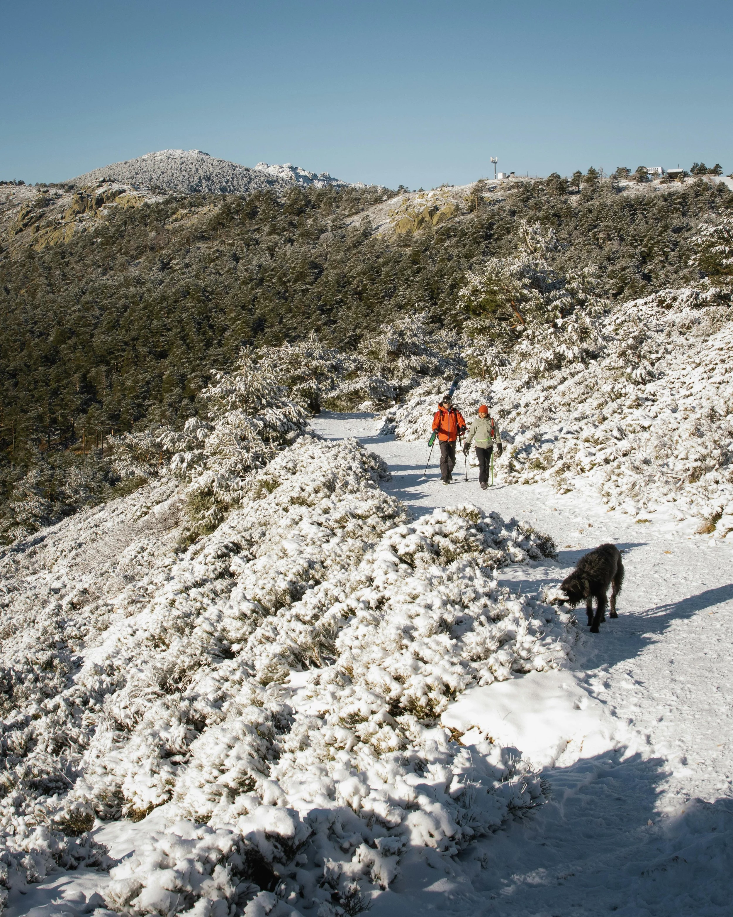 Step into Winter with the Festival of Winter Walks