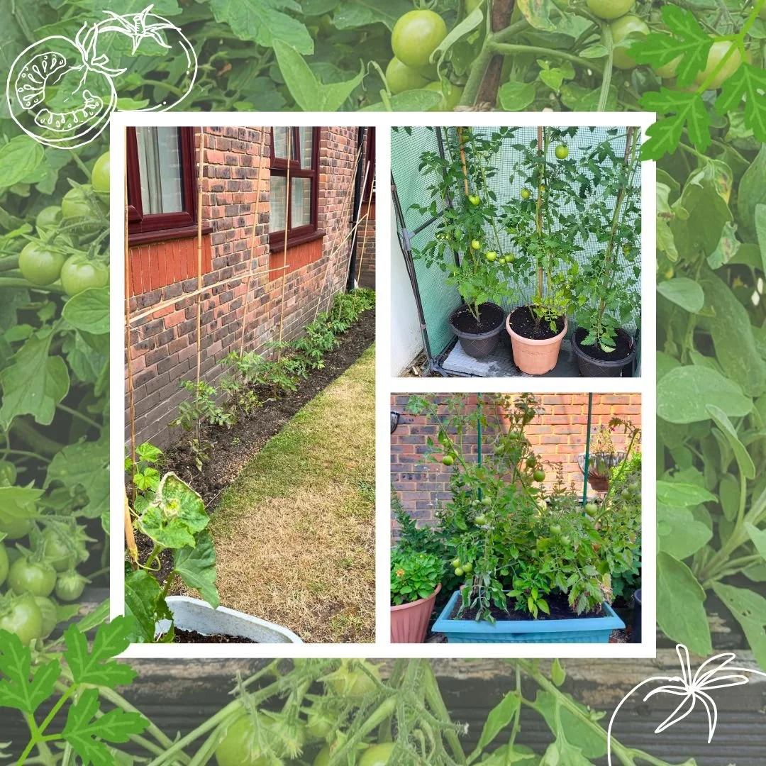 Growing for Wellbeing 