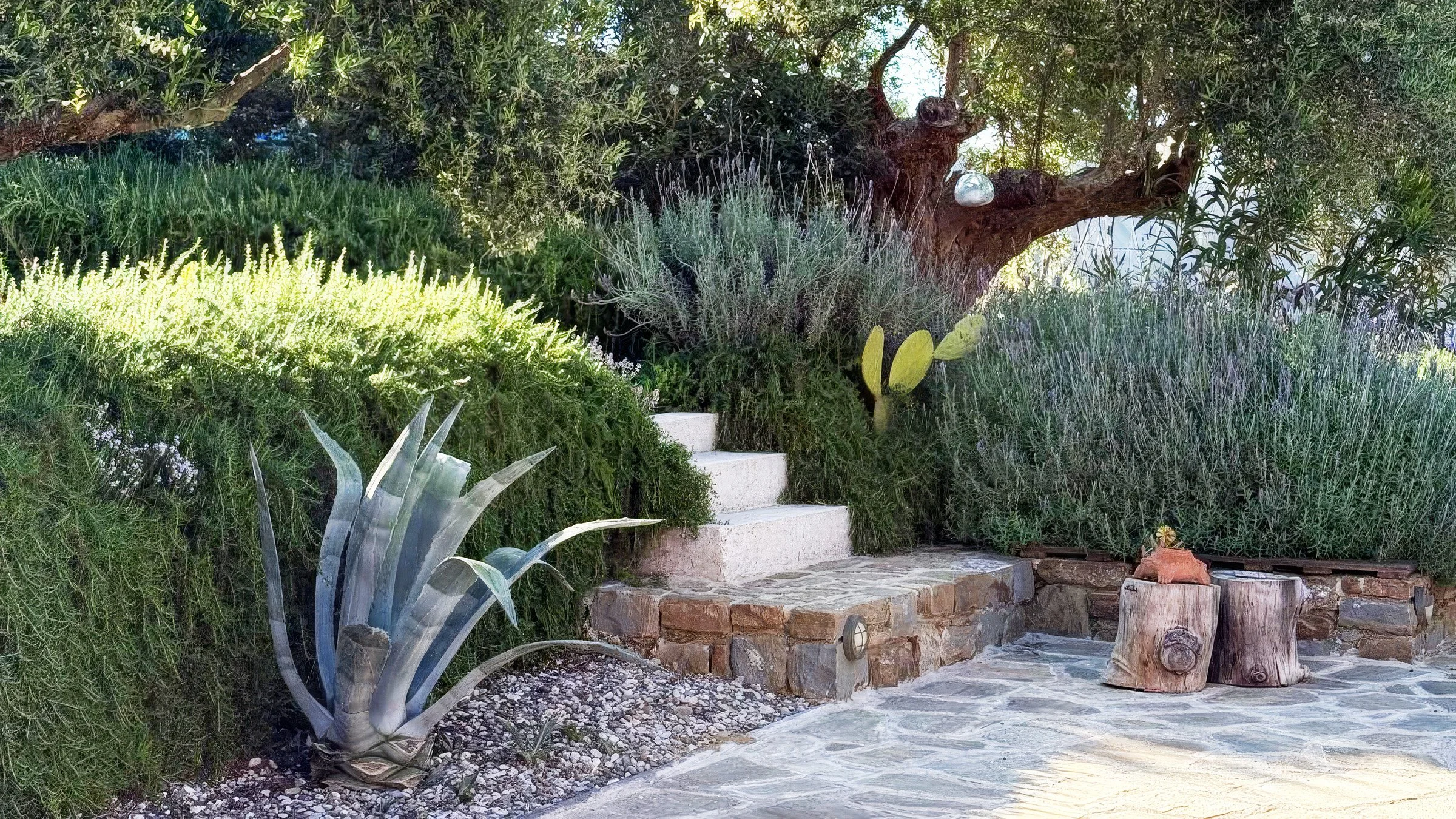eftopia rosemary and lavender garden