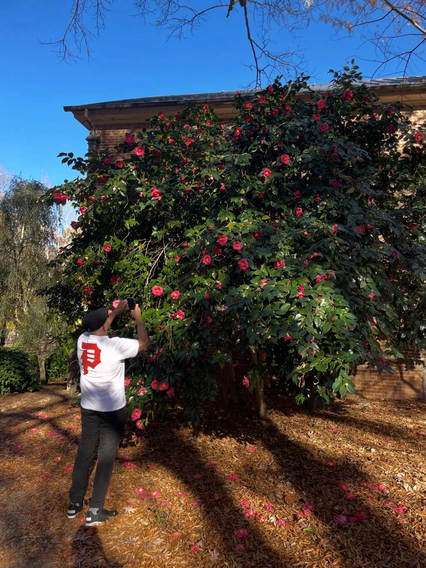 Enjoyed strolling through UNC campus with my love today. The sunlight was so beautiful.