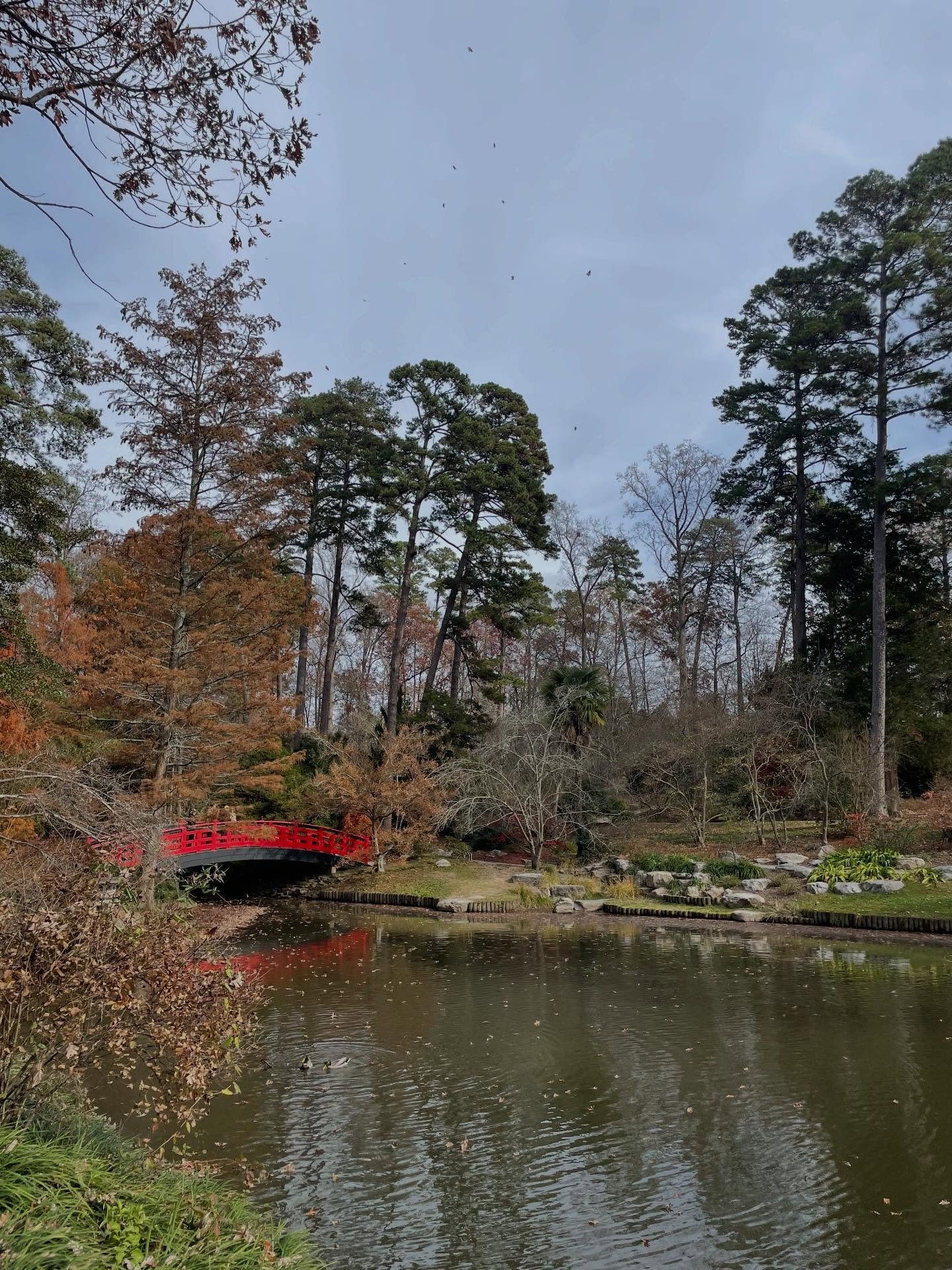 Duke Gardens is such a year-round treasure.