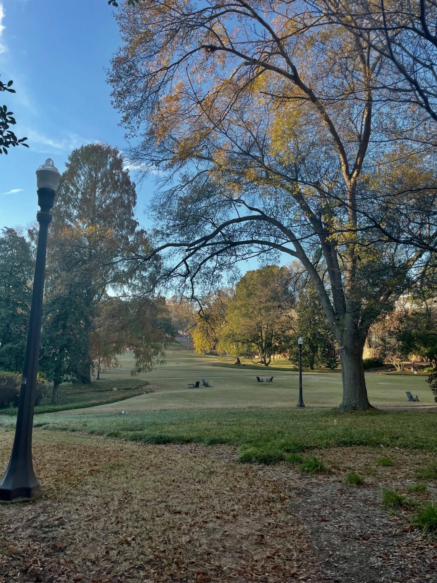 Today we rounded out the trifecta with a stroll through the NC State campus and a walk around downtown Raleigh. Thankful for this week of connecting with family, friends and nature.
