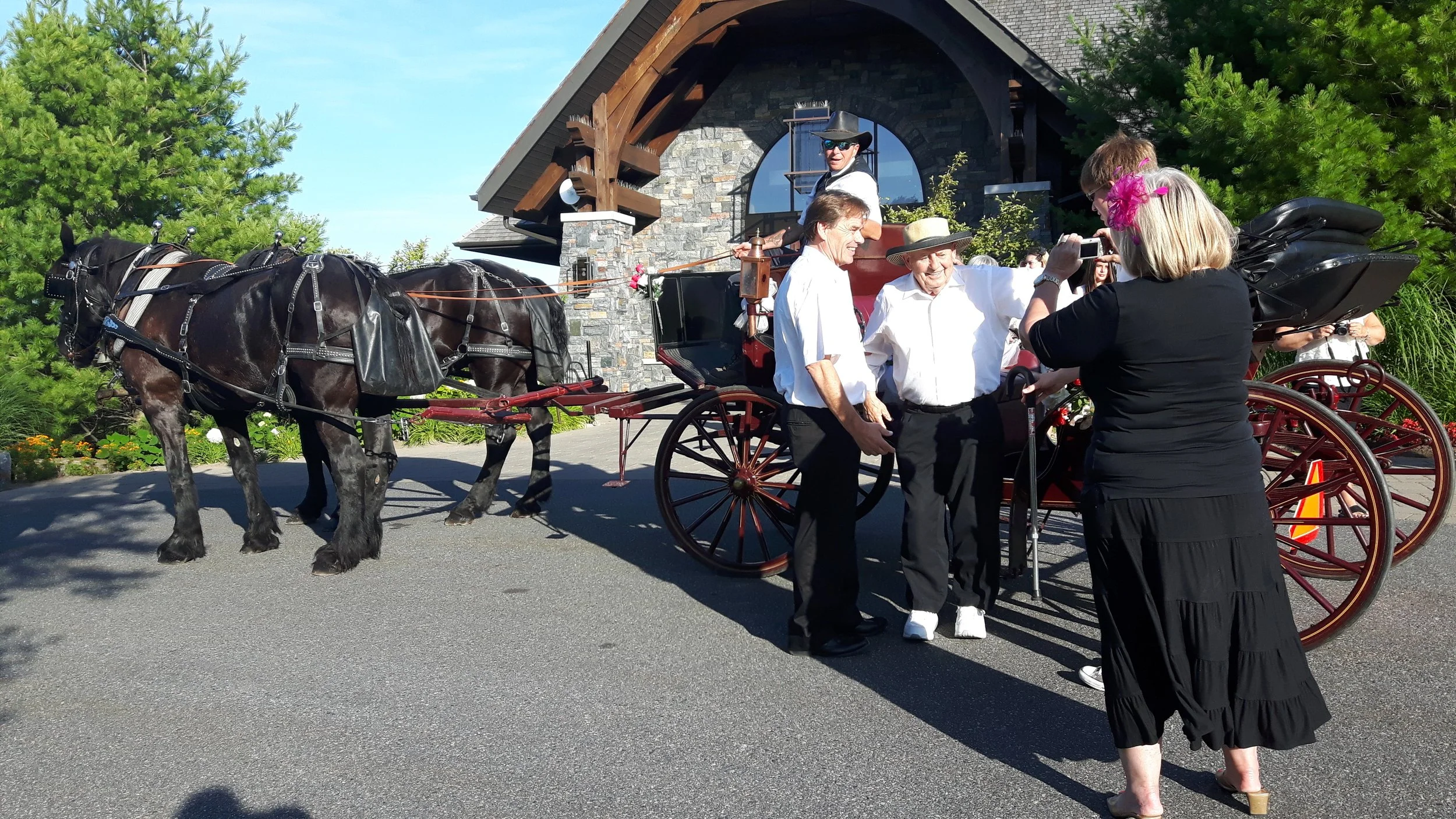 special event with family and horse drawn carriage rides