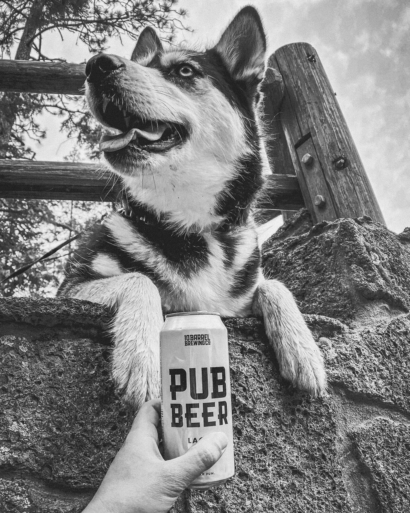 This one&rsquo;s to slamming a pubby with your dawgs 🍻 

#cheapfunbeer