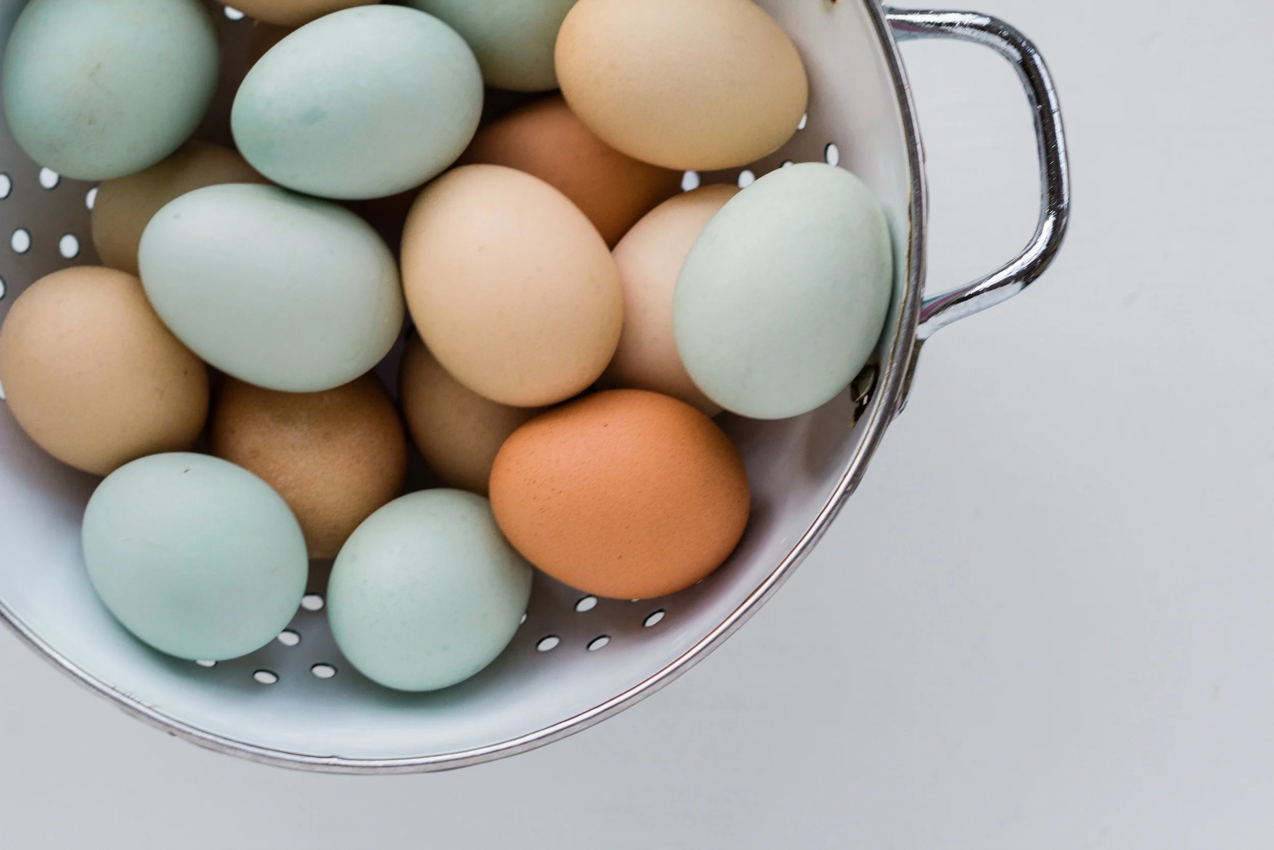 @TonyaMerkePhotography-ColorfulEggs-BrownEggs-Eggs.jpg
