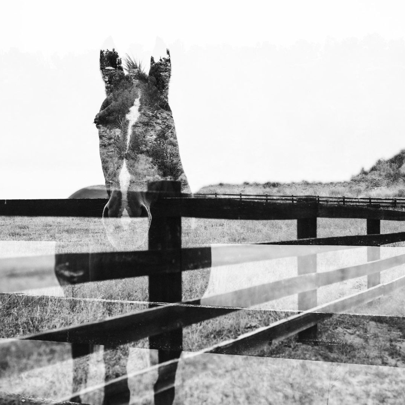 Screen Shot 2024-02-17 at 3.00.32 PM.png