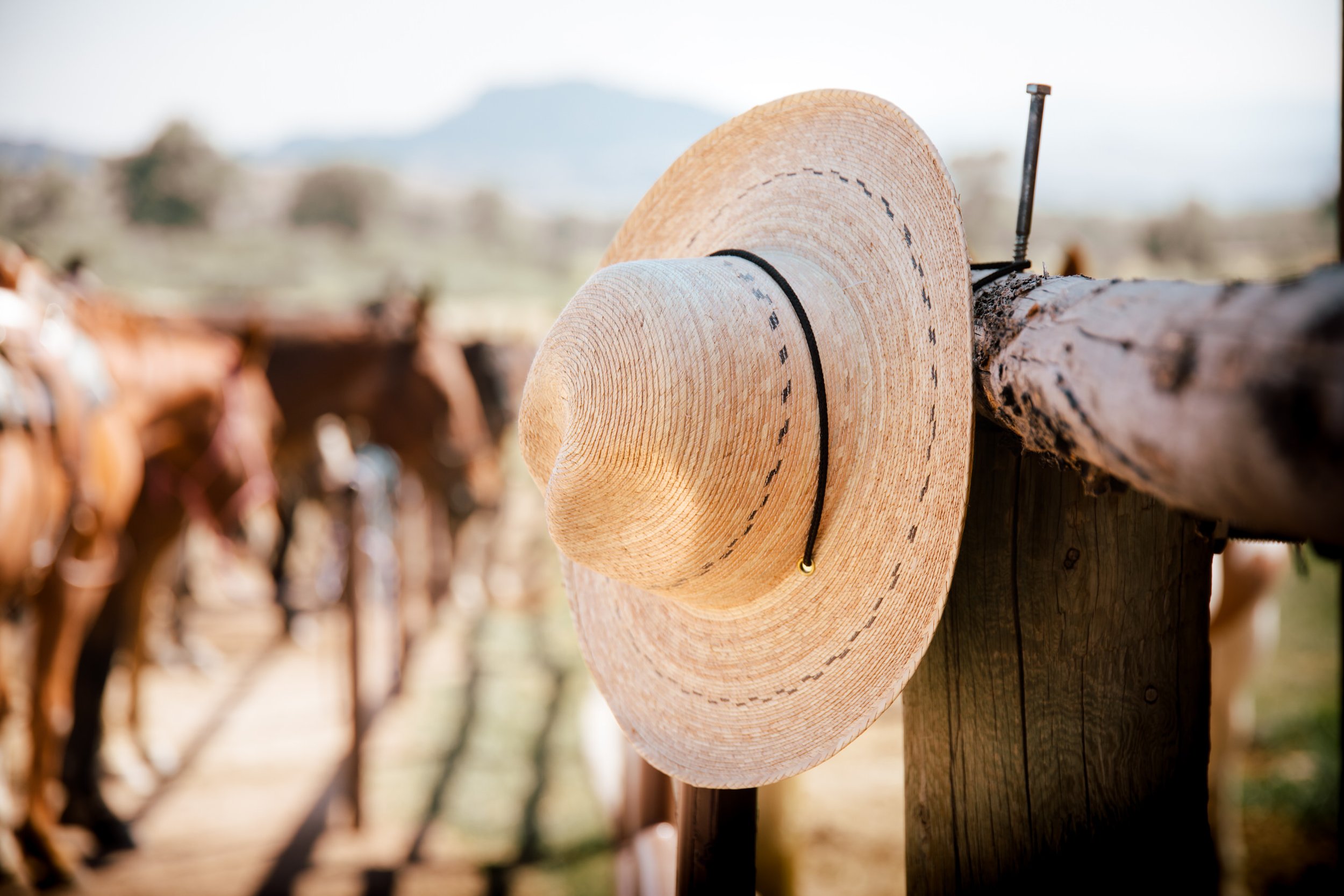 Tonya Merke Photography WY BCR Straw Hat-1.jpg