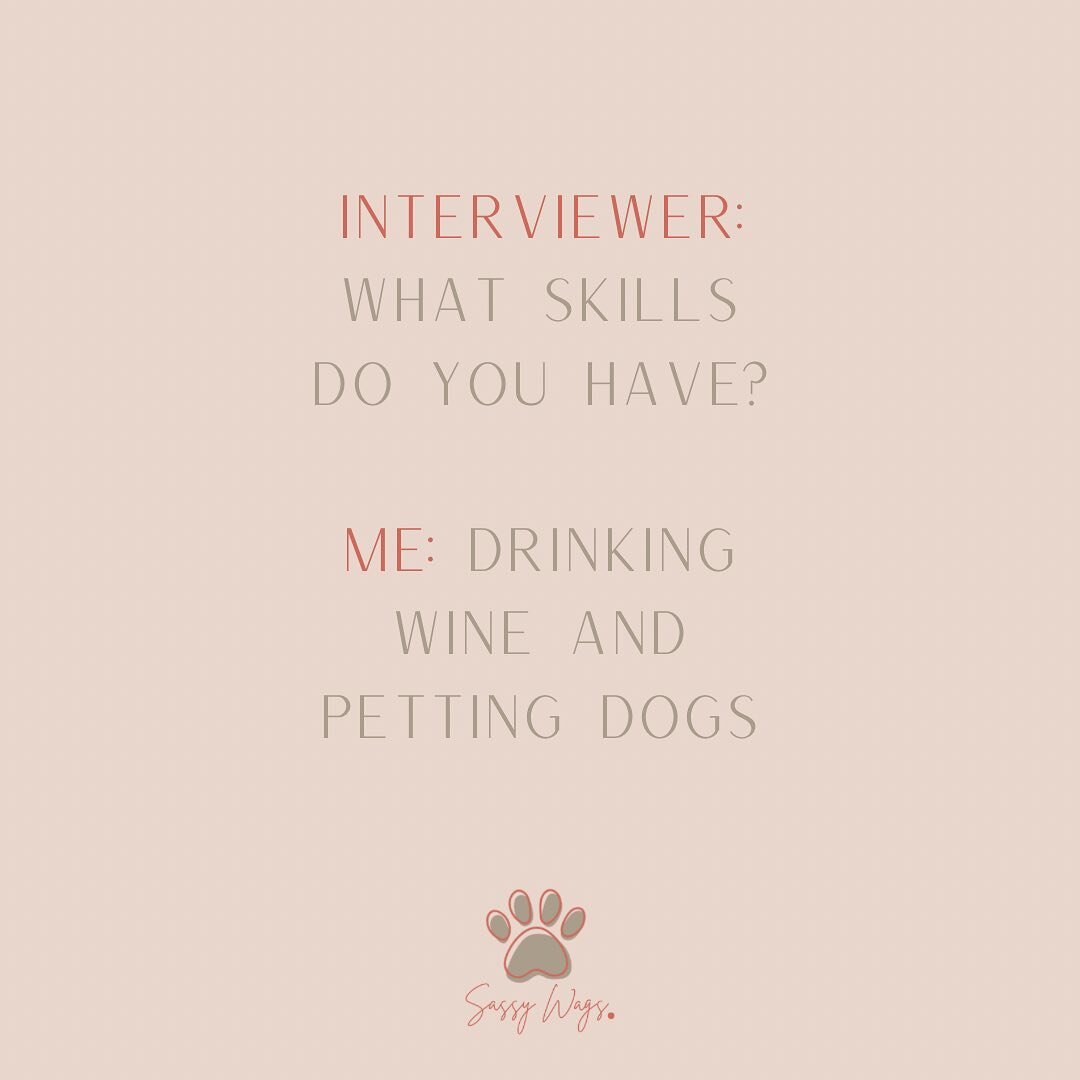 These skills are being listed first on our resume! 🤣🐾🍷 

Spoil your pups by shopping on our website! Link to shop is in bio.

#doginstagram #smallbusiness #smallbusinessowner #dogmom #doghumor #daschund #smalldogs #largedogs